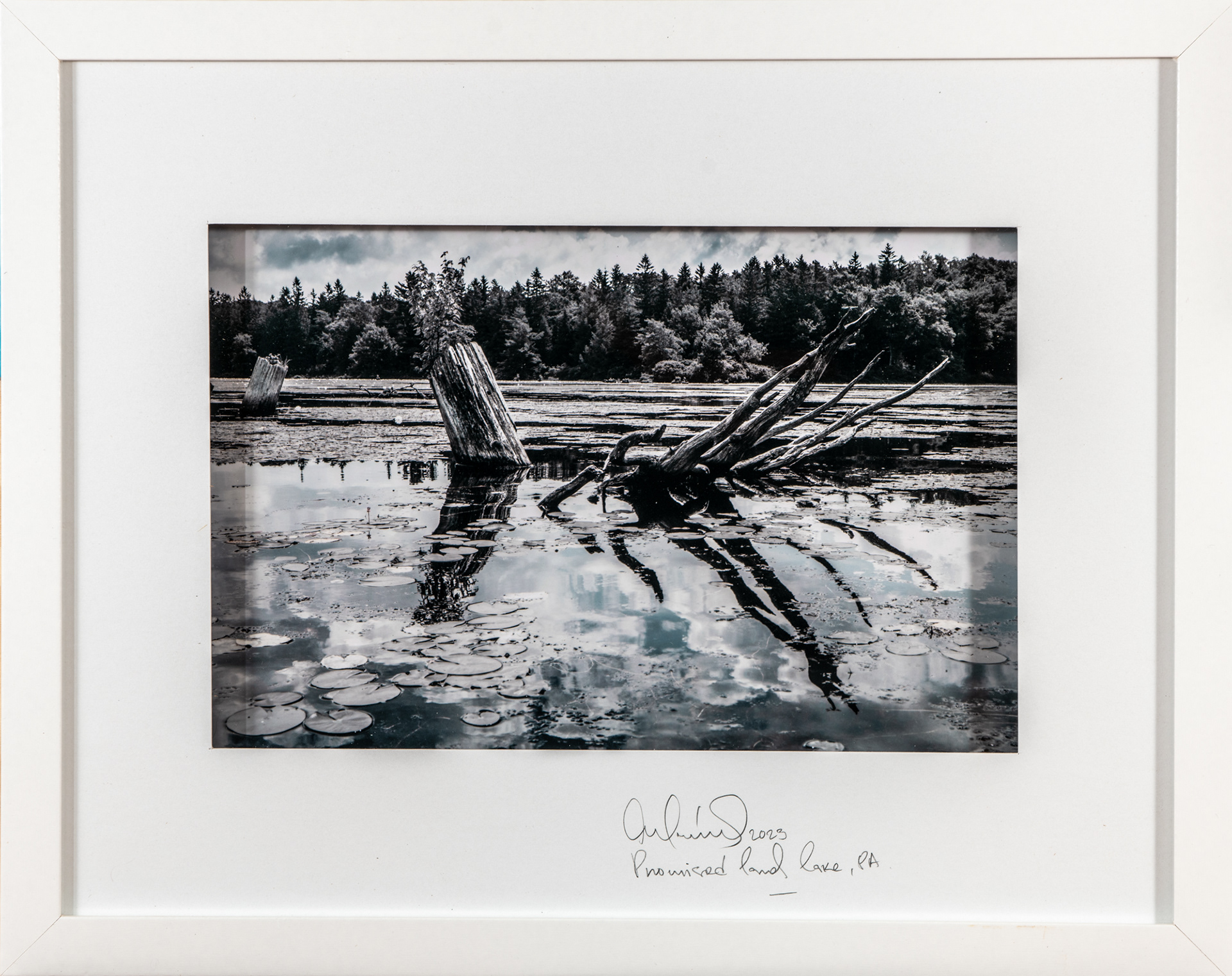 C-Print on Metallic Paper