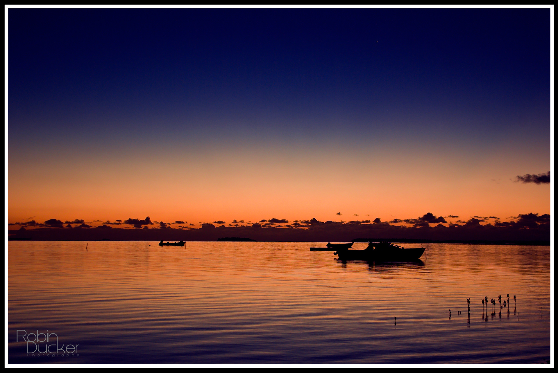Paradise Dawns