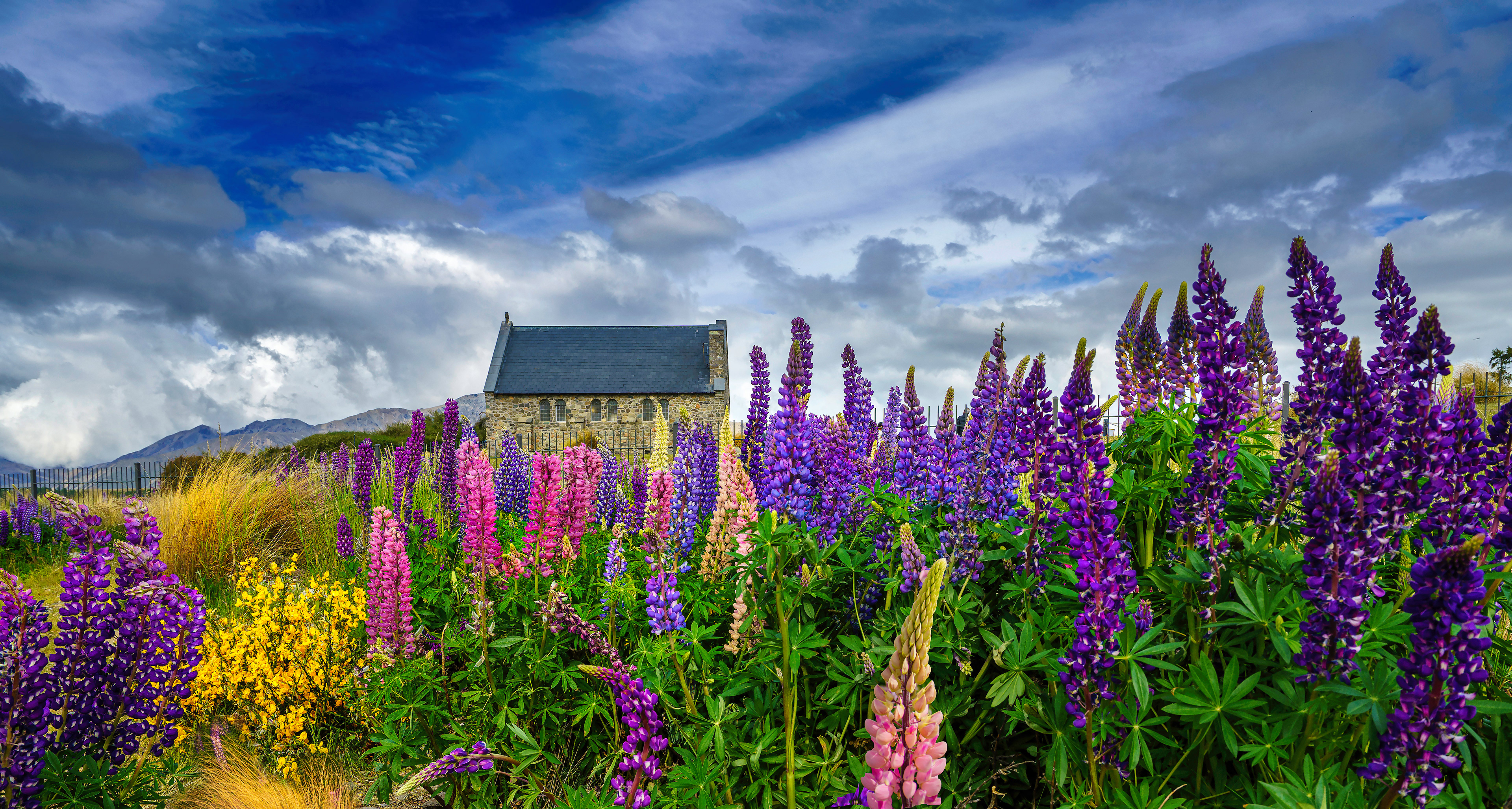 The Church of The Good Shepherd