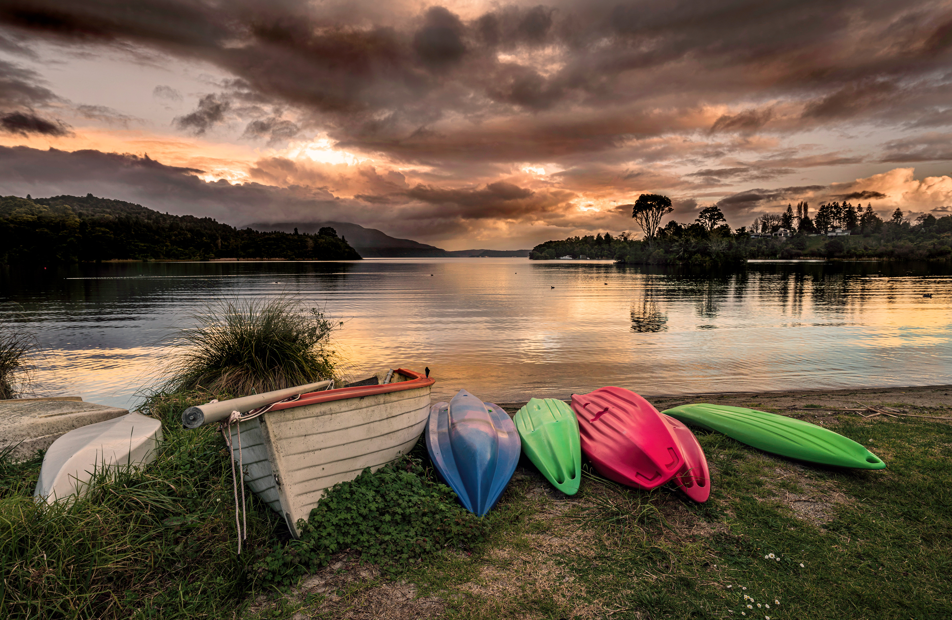 Lake Tarawera Shores