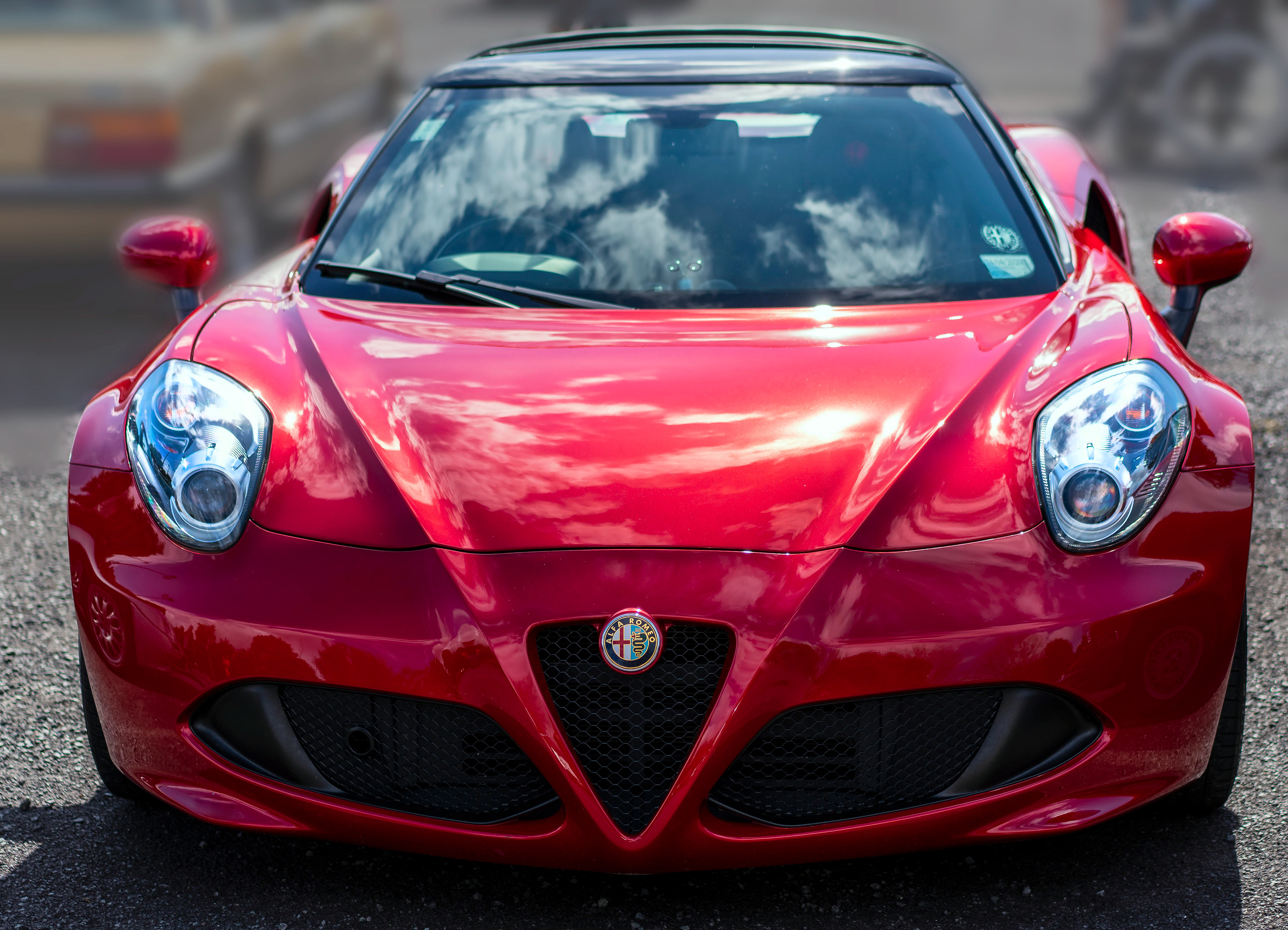 Alfa - lovely....