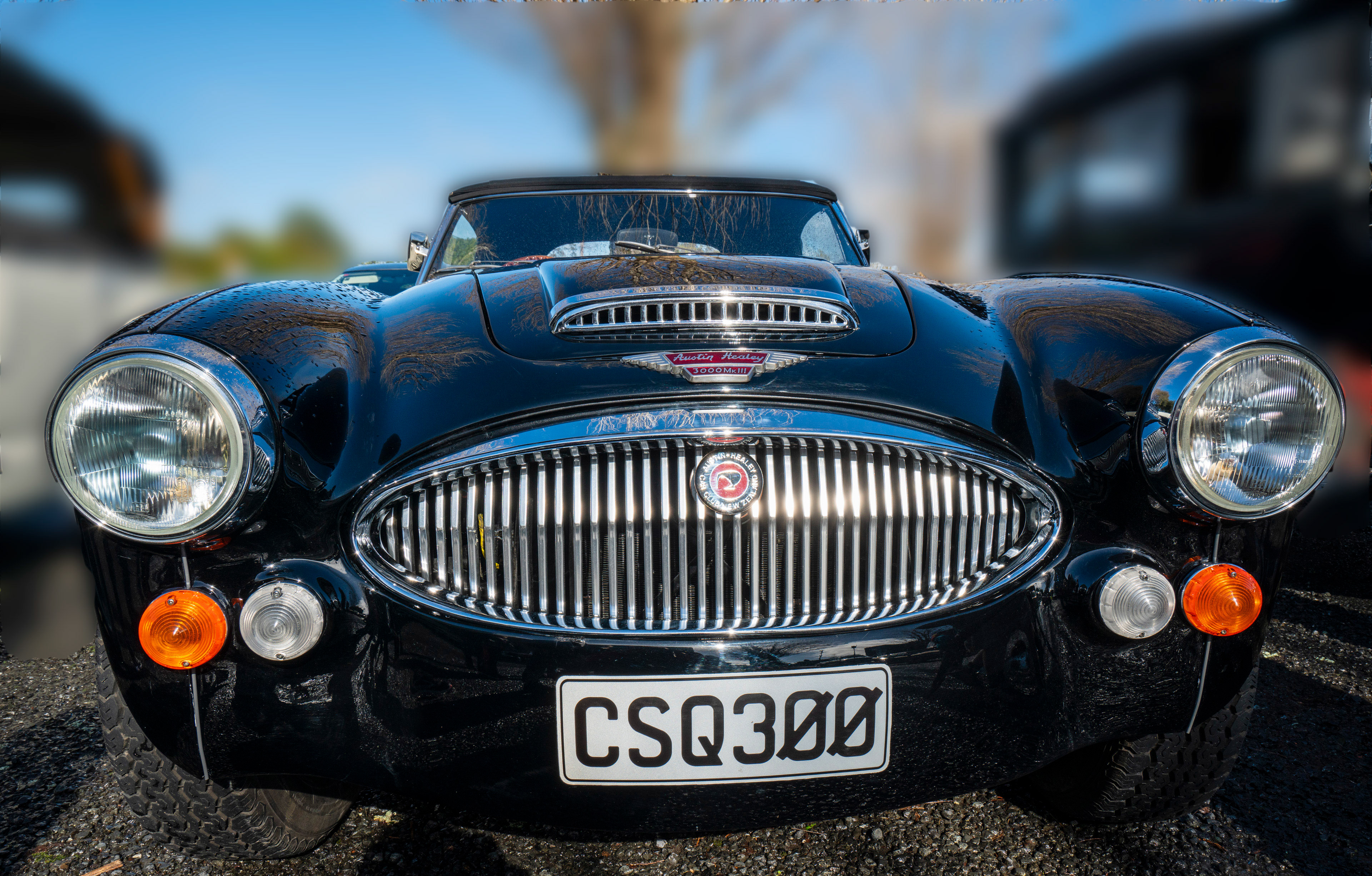 Austin Healey 3000