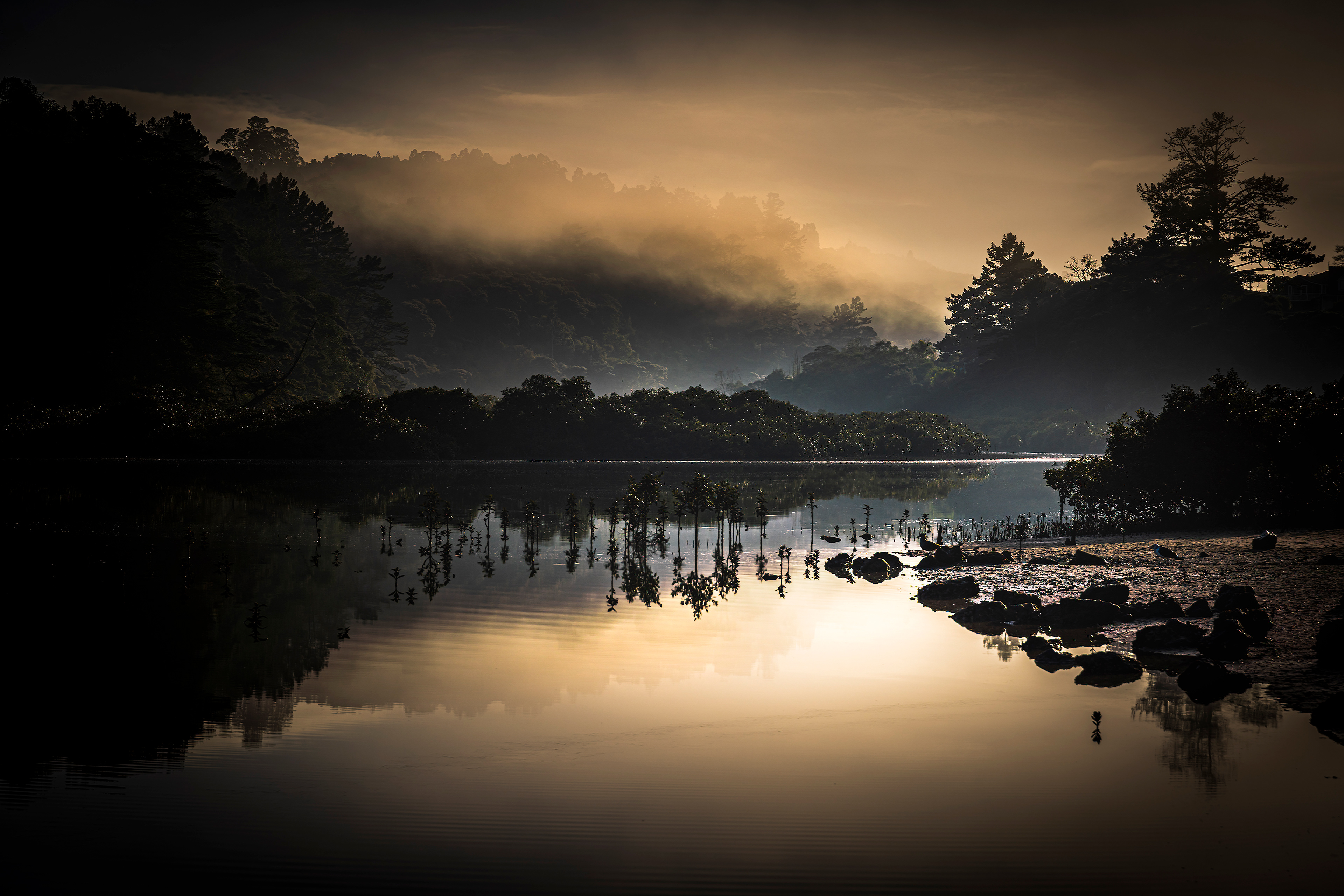 Bayview Mists