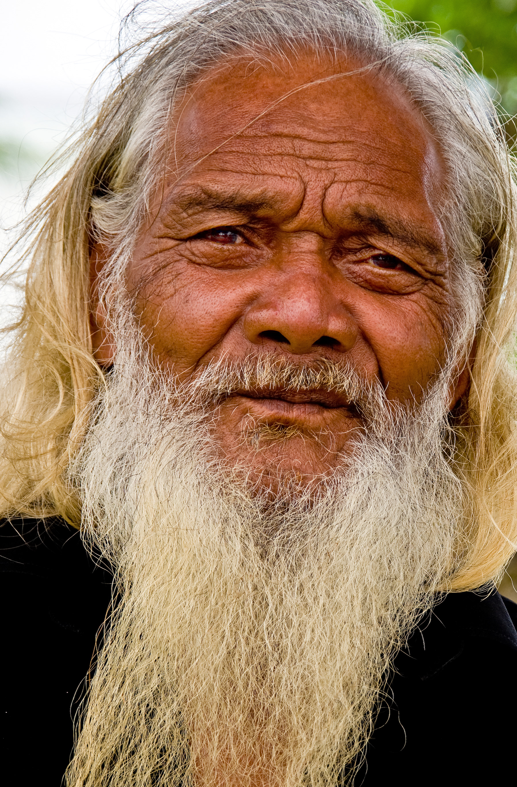 Wisdom of an Elder