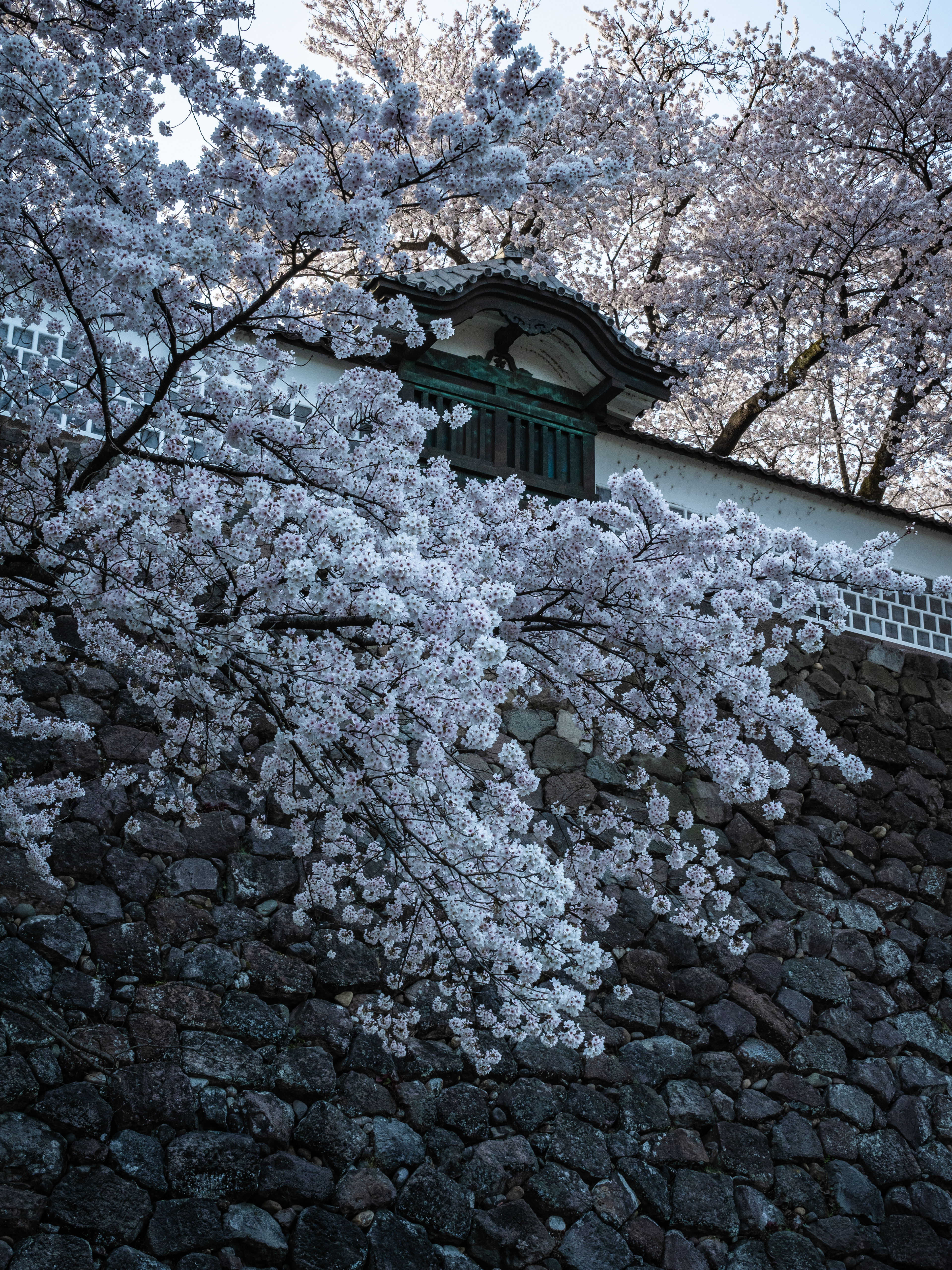 金沢城(Kanazawa-Castle)