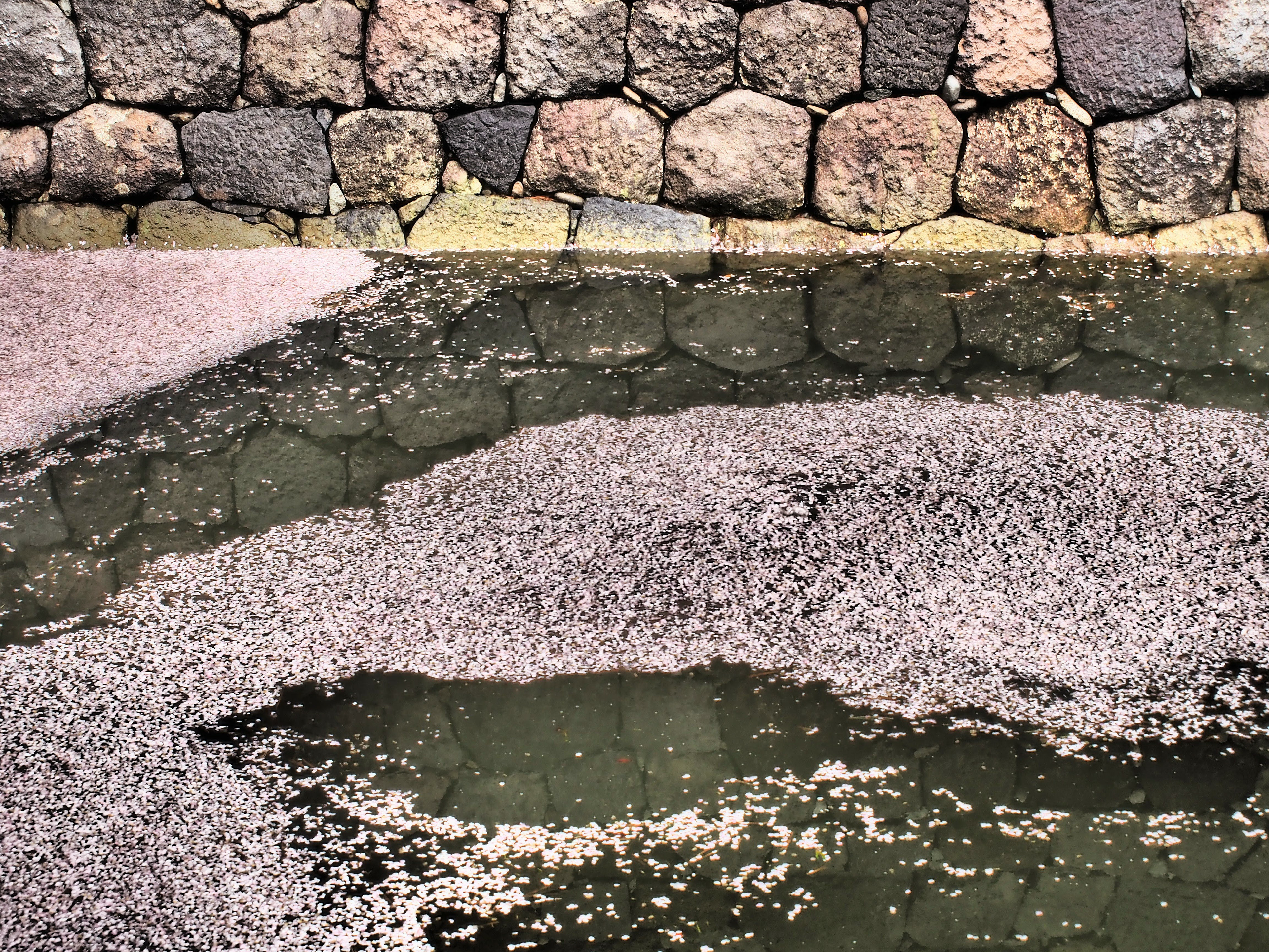 金沢城(Kanazawa-Castle)