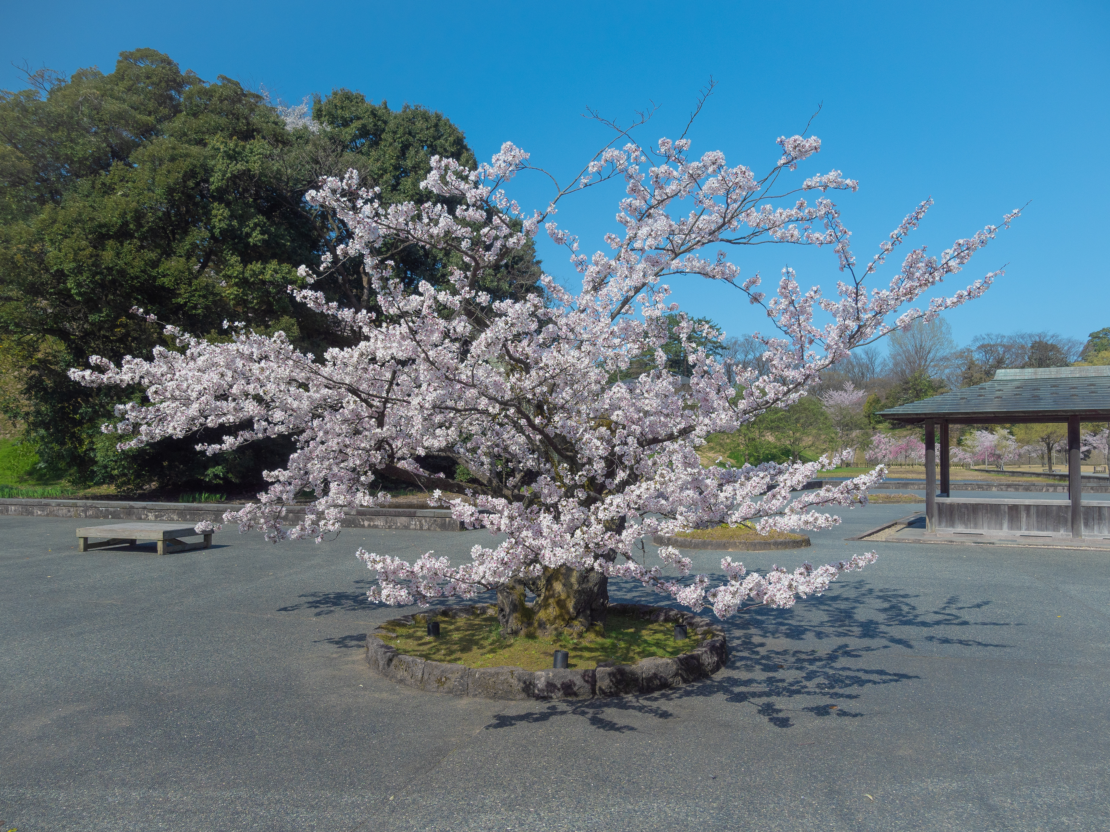 金沢城(Kanazawa-Castle)