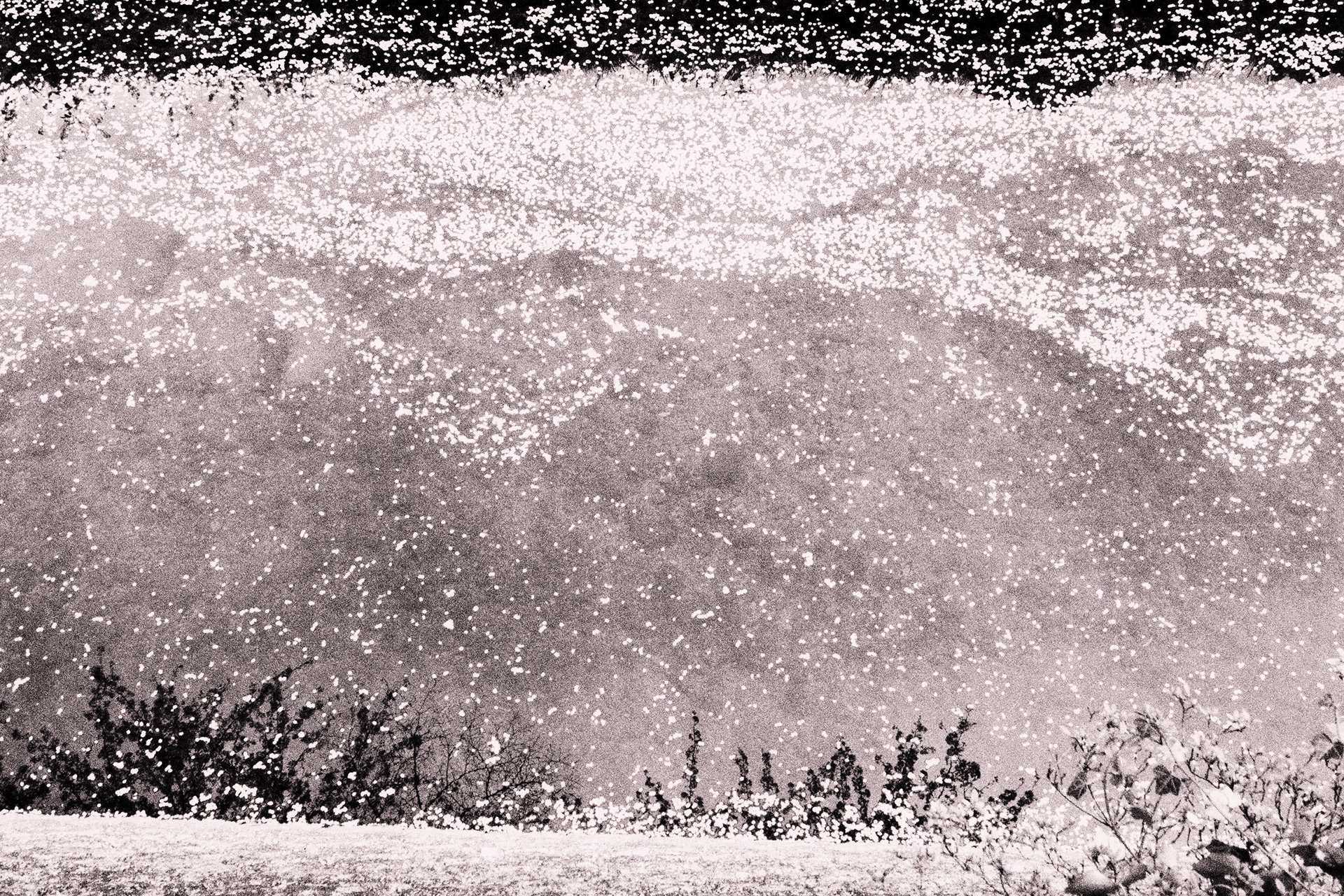 祖師谷公園(東京都世田谷区) Soshigaya-Park(Tokyo)