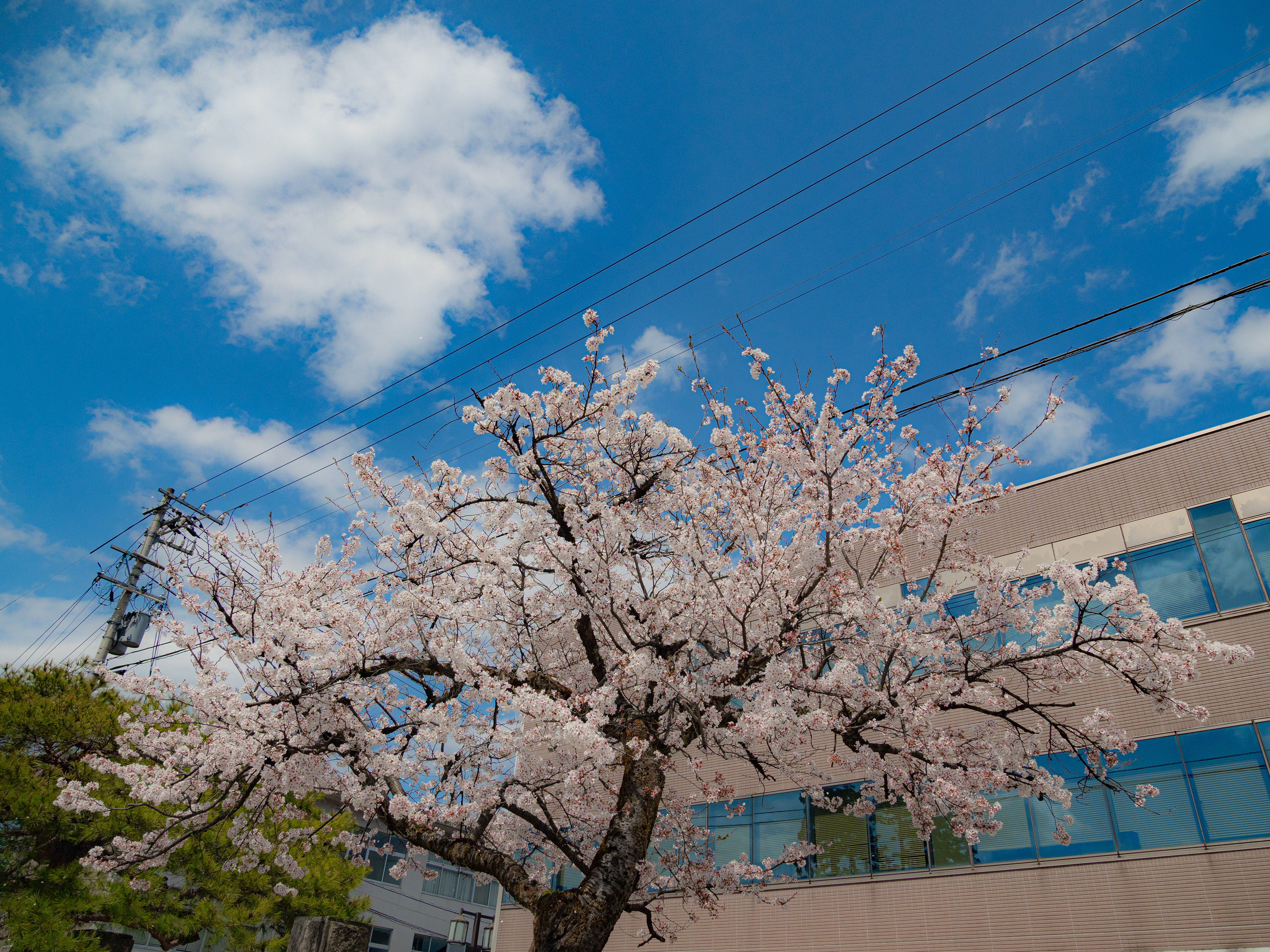 城端市内(富山県)