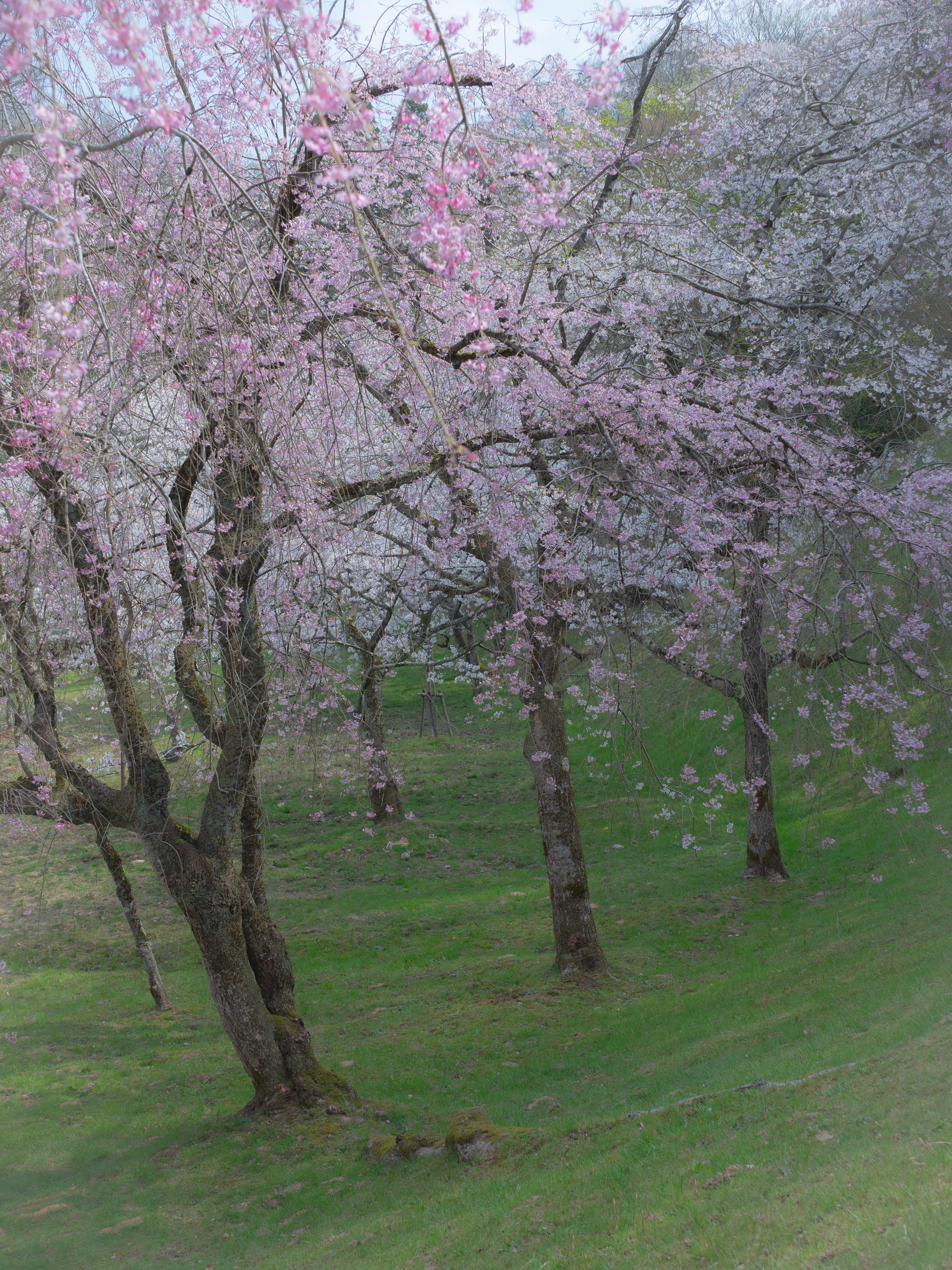 卯辰山公園(金沢市)
