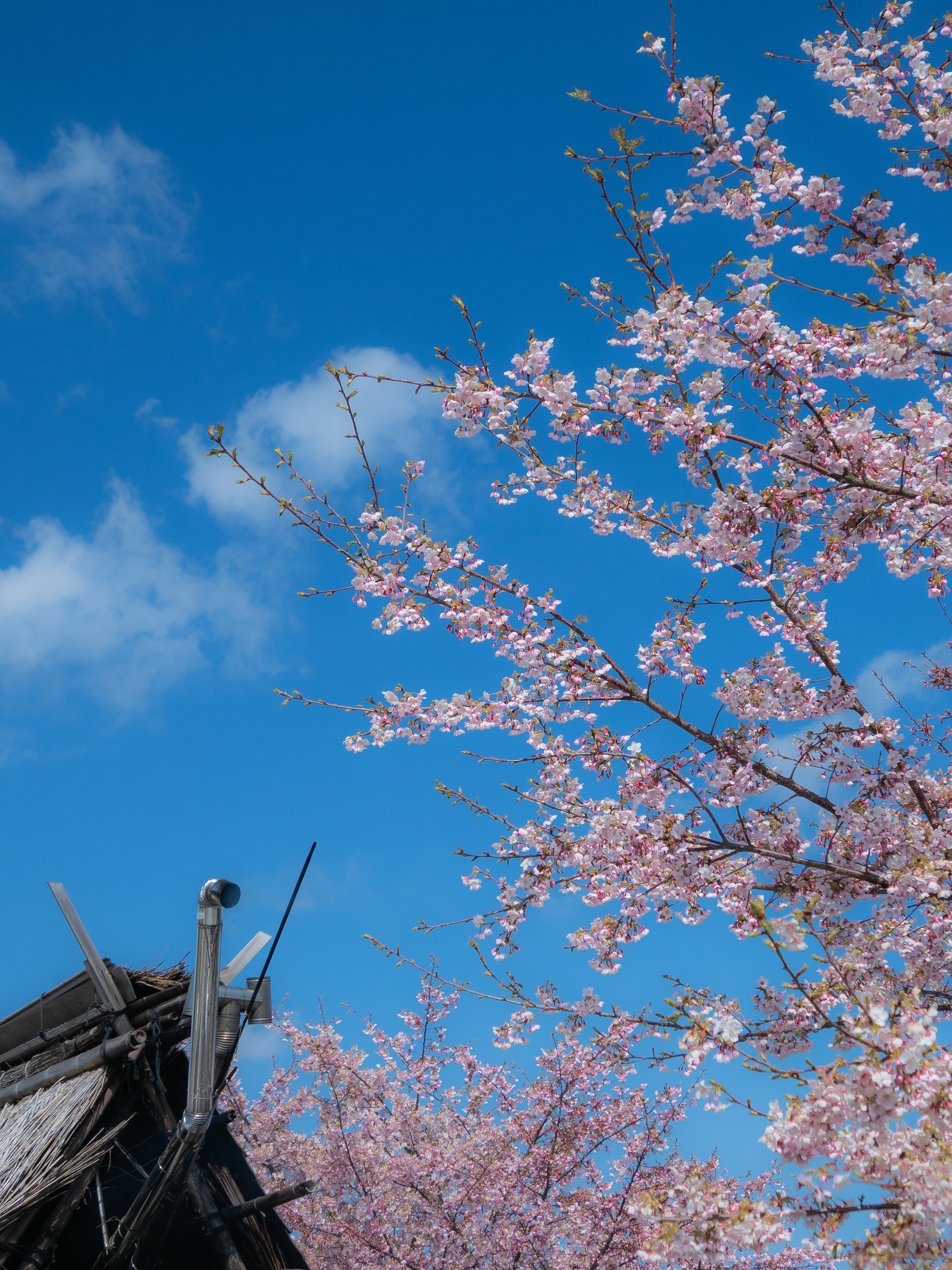 能登島(石川県七尾市)
