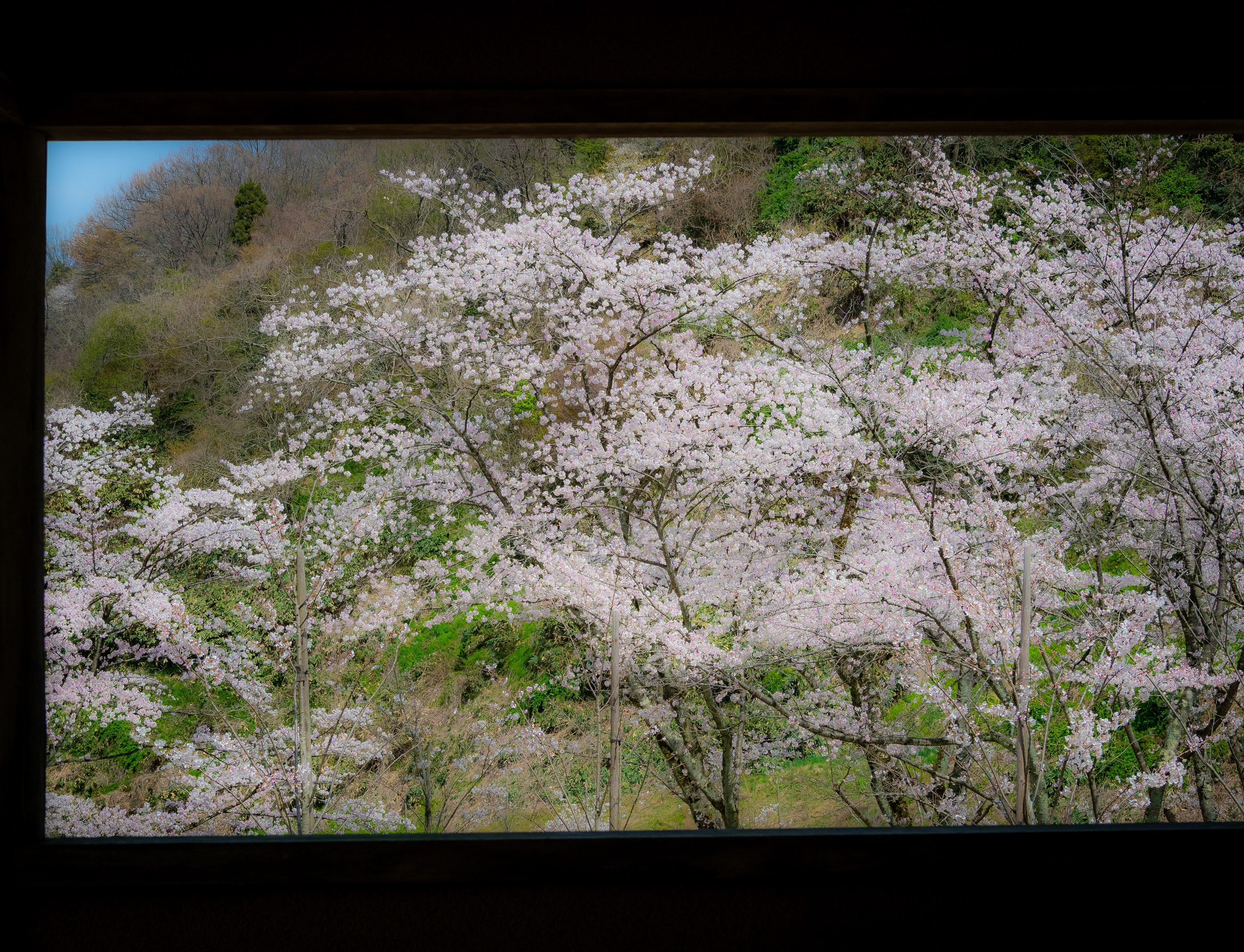 卯辰山公園(金沢市)