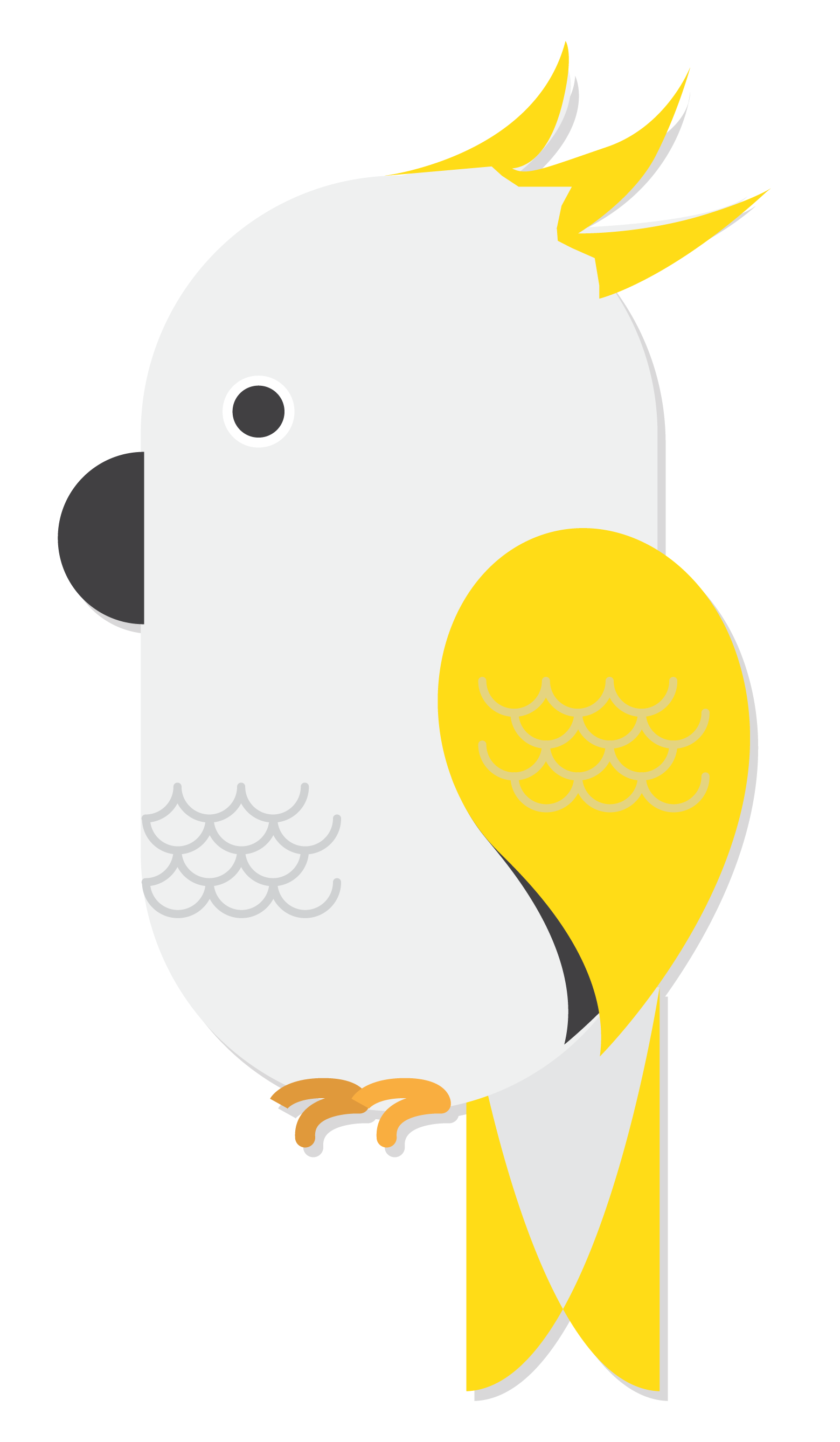 Cockatoo Photo