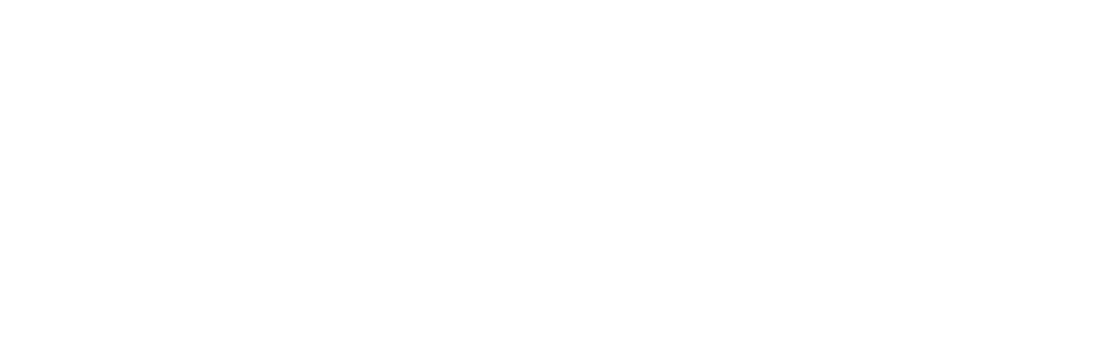 Can Koç