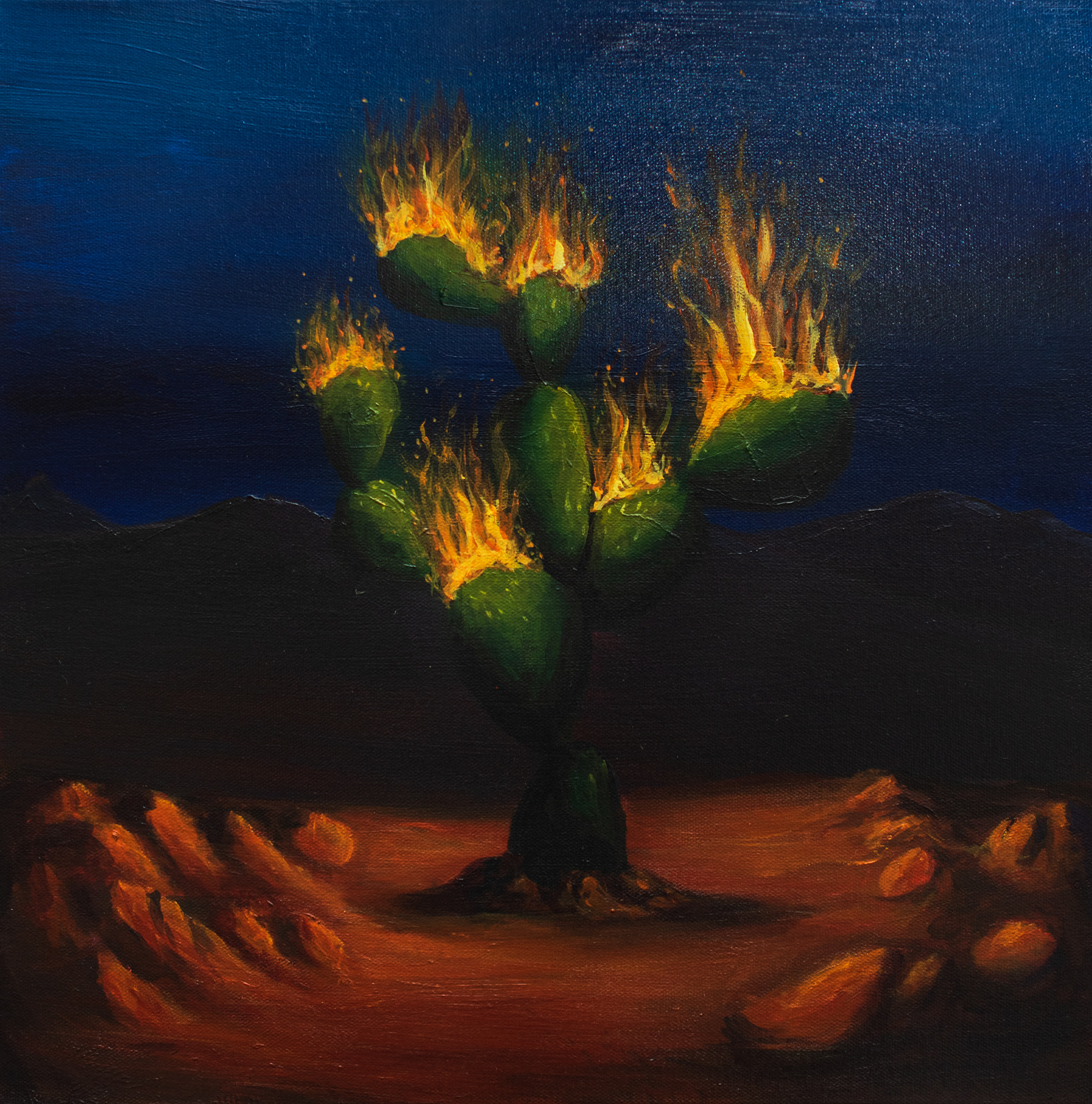 God spoke to me through a cactus, 16"x16",2022