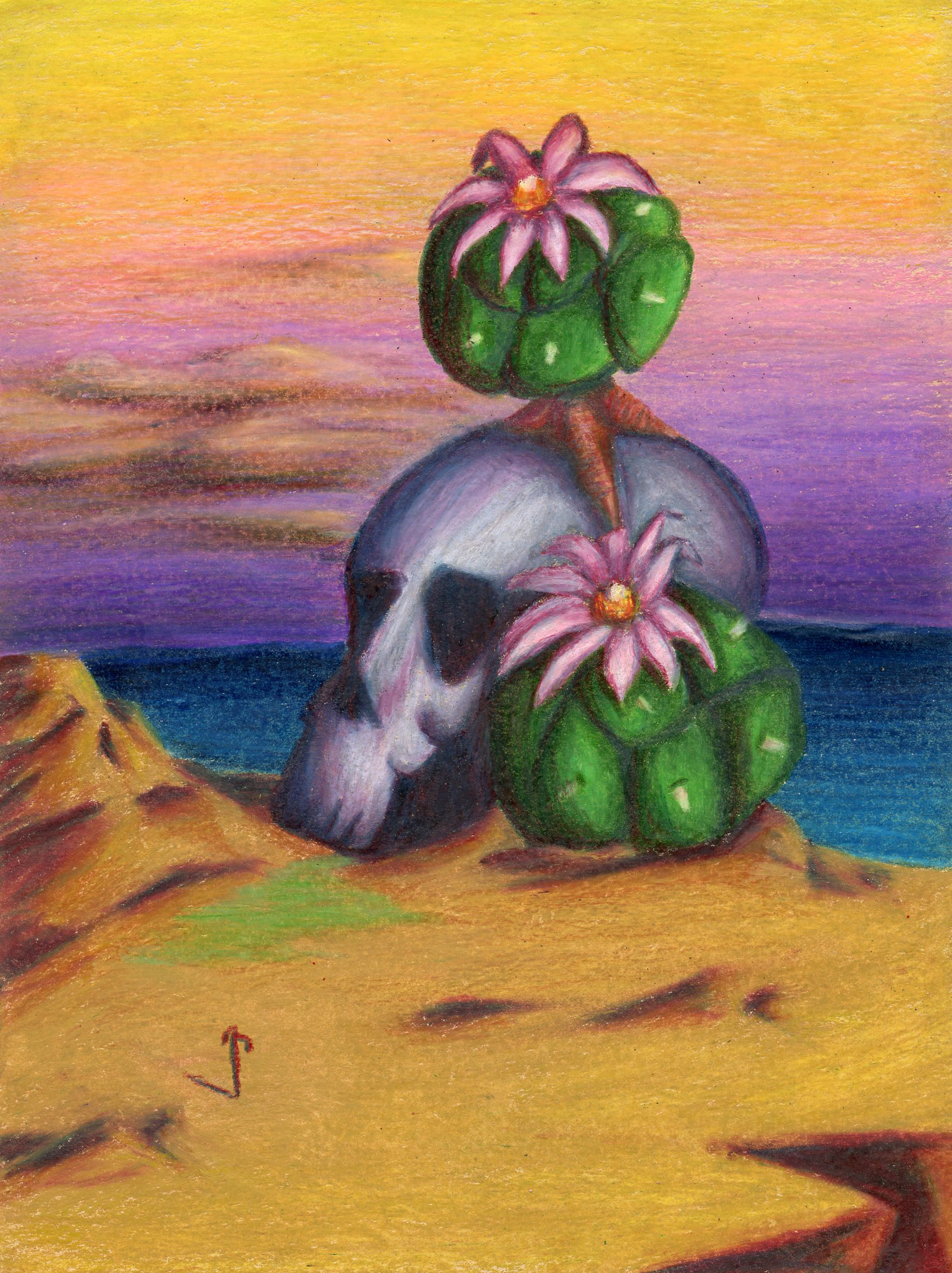 The peyote that bleeds