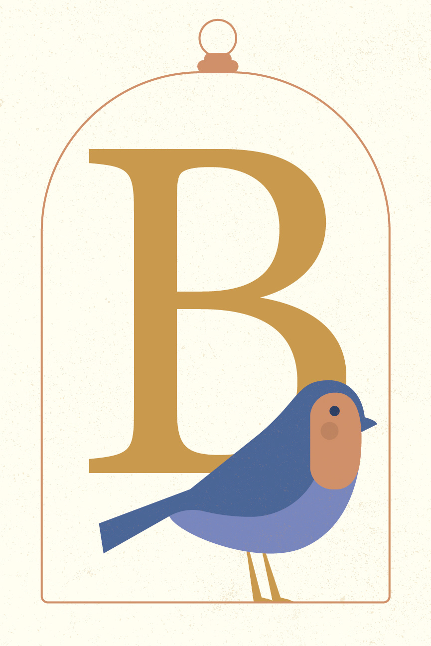 Alphabet Series | B