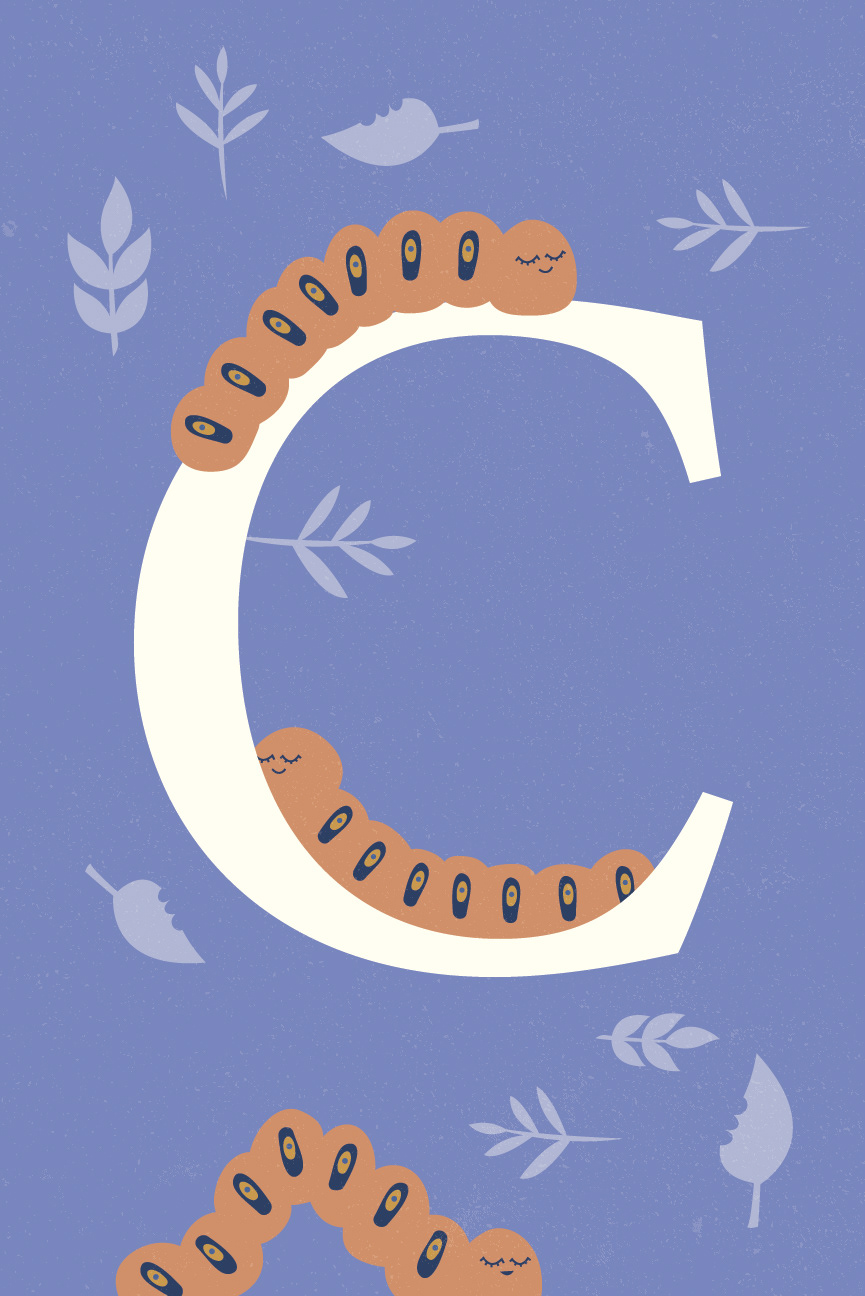 Alphabet Series | C
