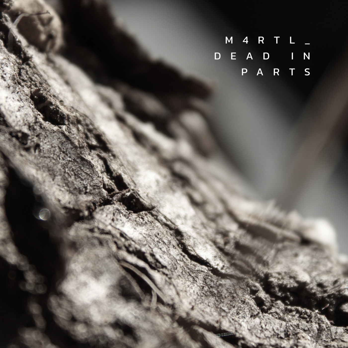 "DEAD IN PARTS" Album