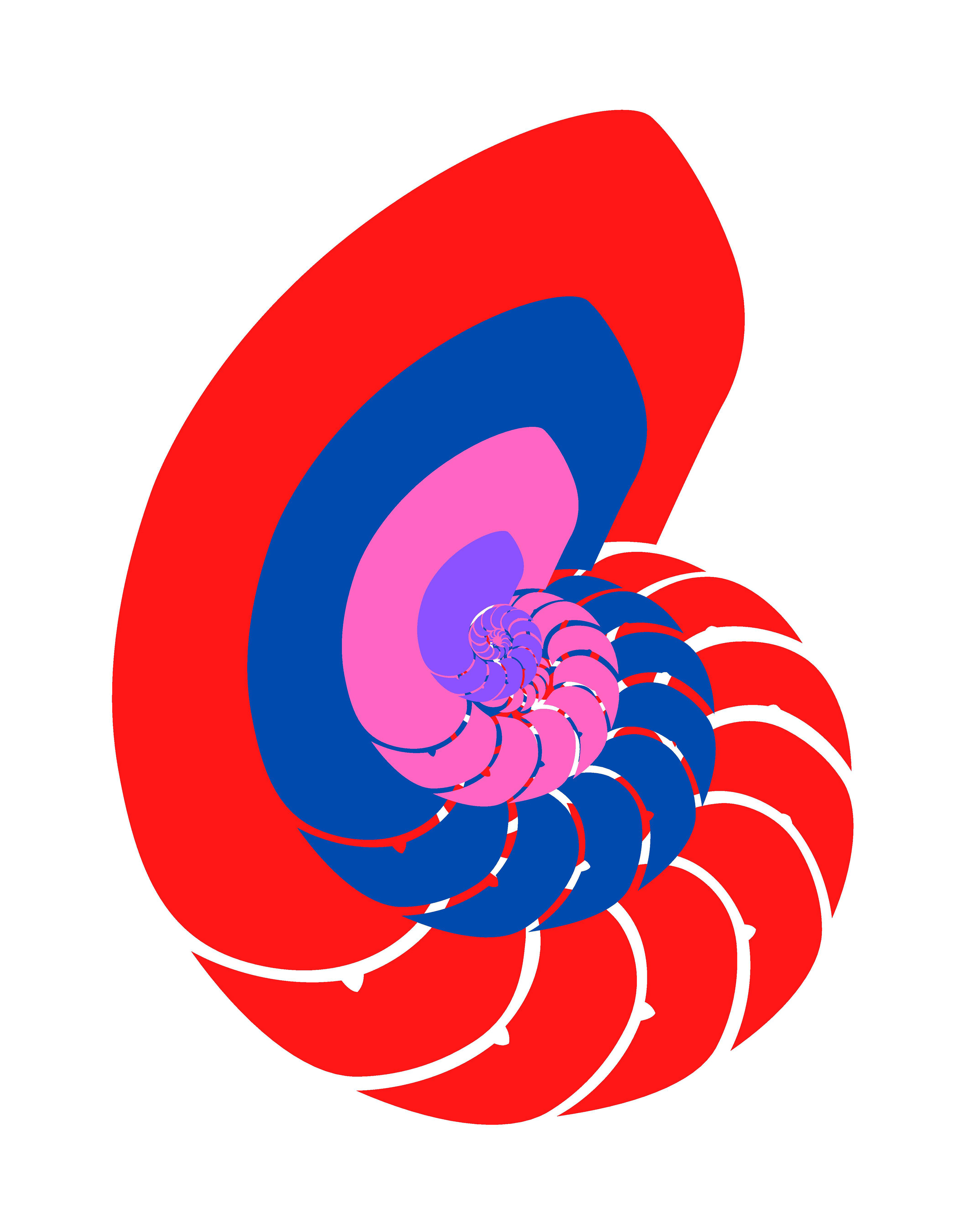 "Ammonite"