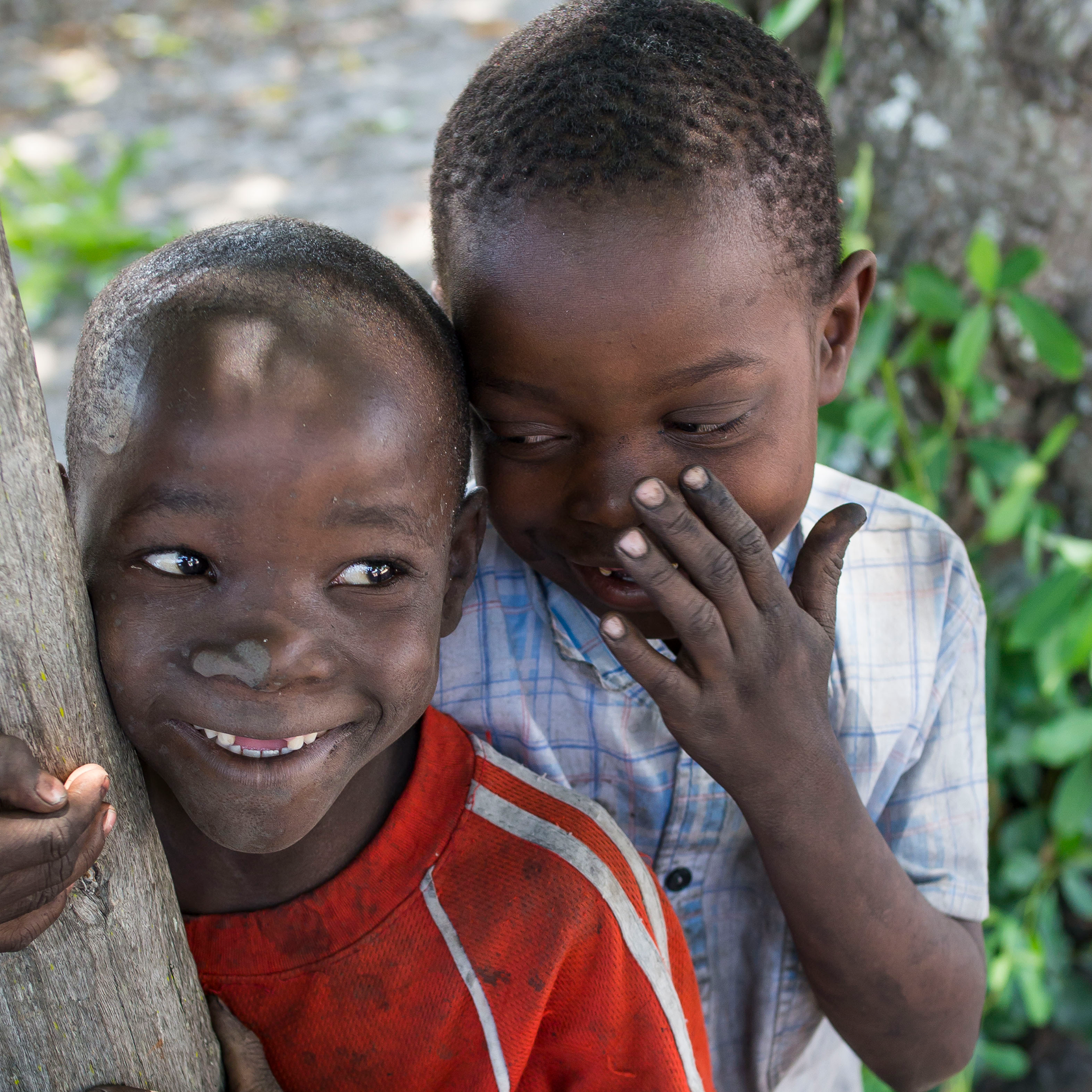 Zambia