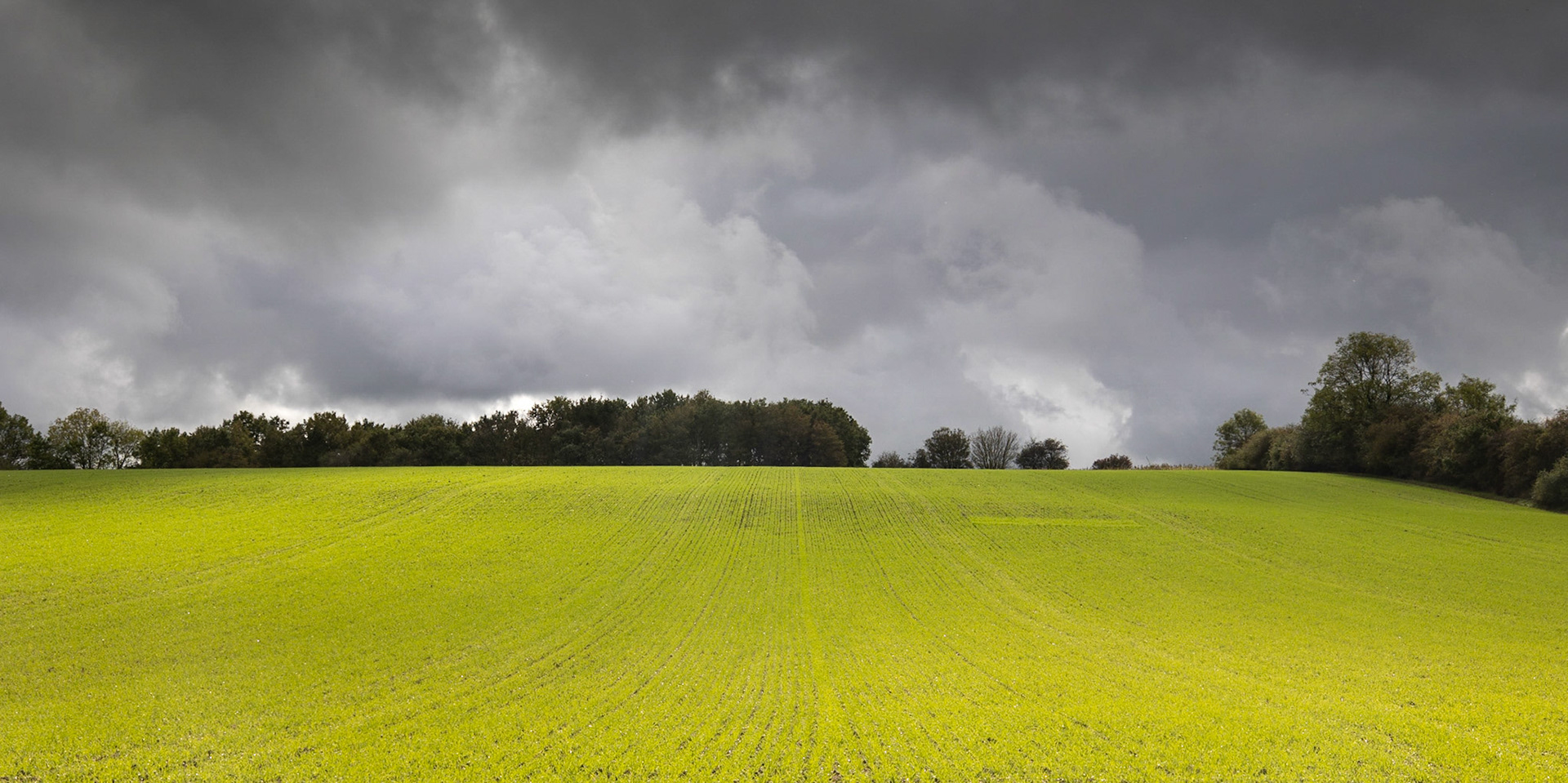 10. Storm clouds, Cookley