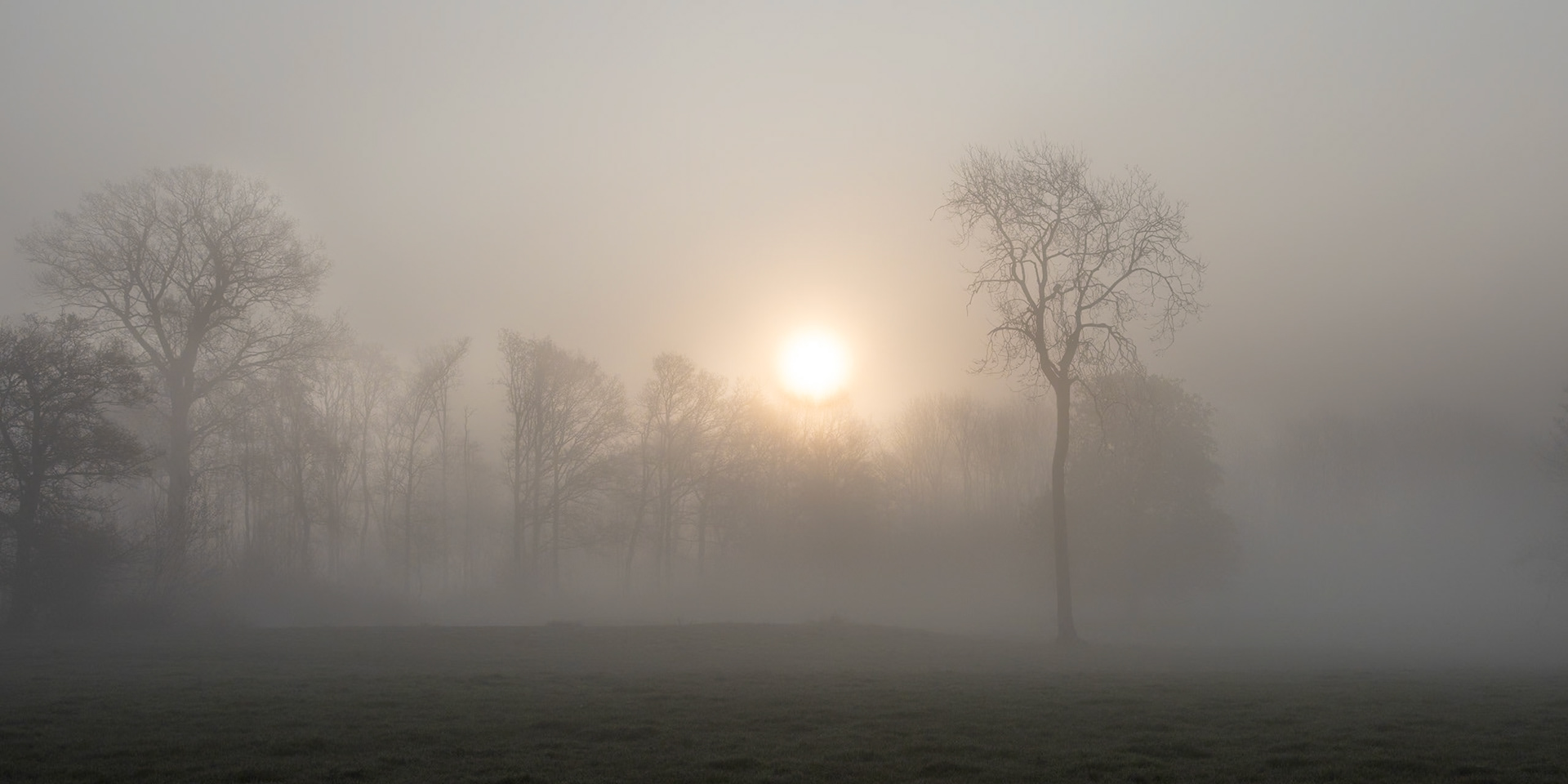 22. Mist at Huntingfield Hall