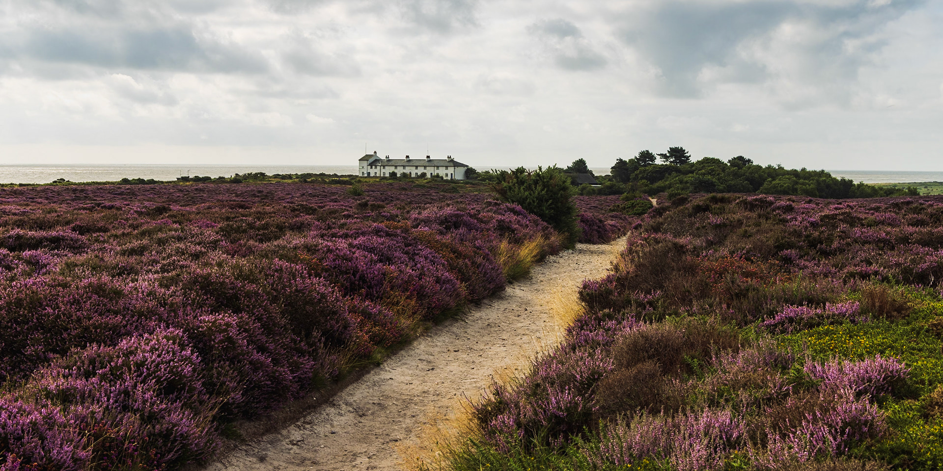 25. Coastguard cottages, Dunwich Heath