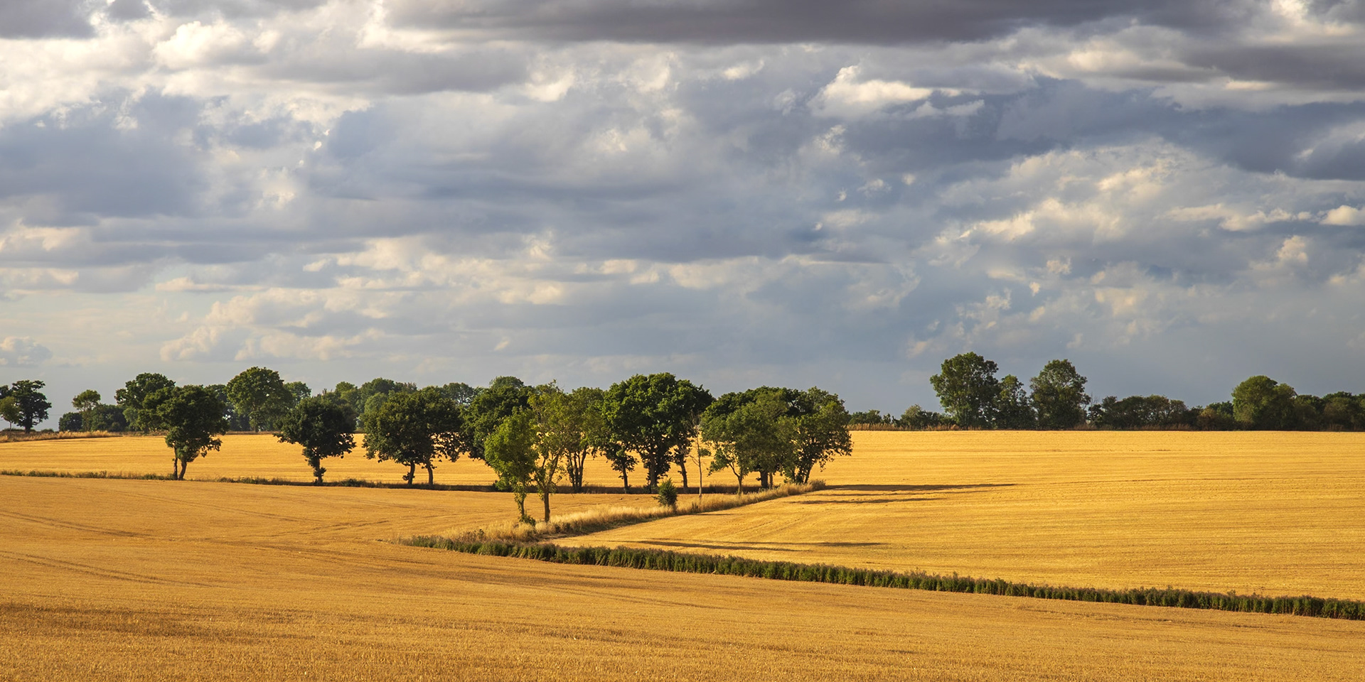 29. Harvest home, Huntingfield