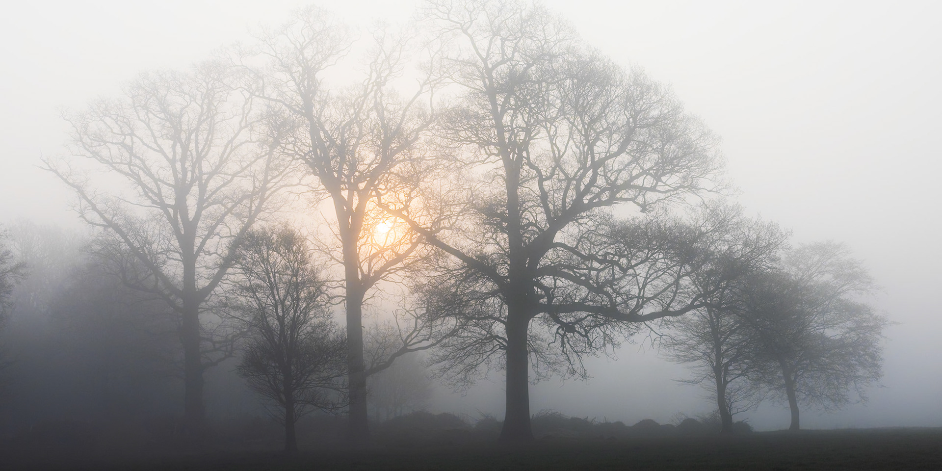 21. Misty morning at Huntingfield Hall