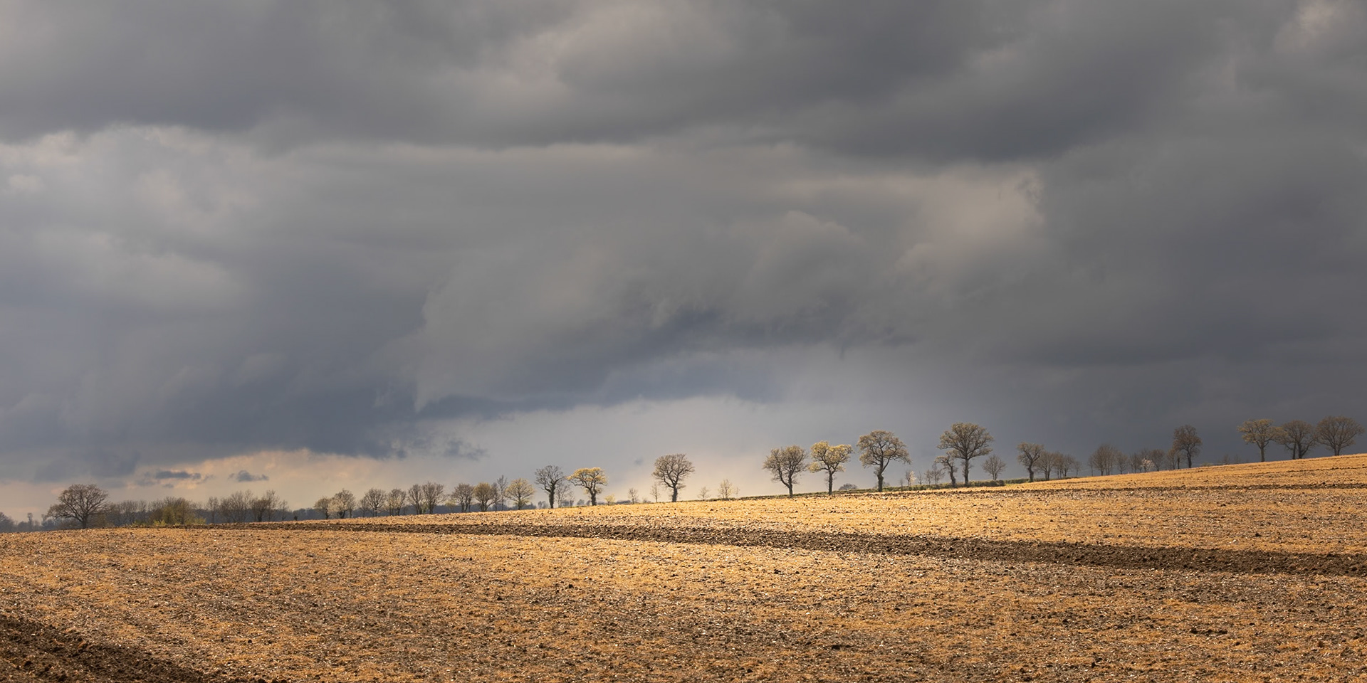 24. Dark skies at Halesworth