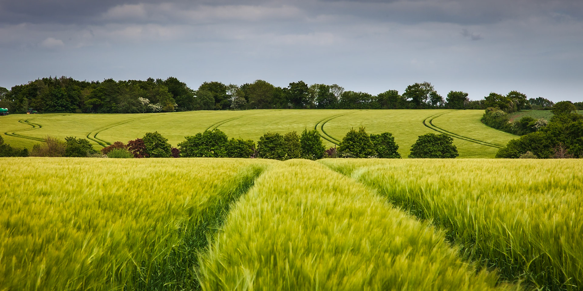 3. Barley field Cookley