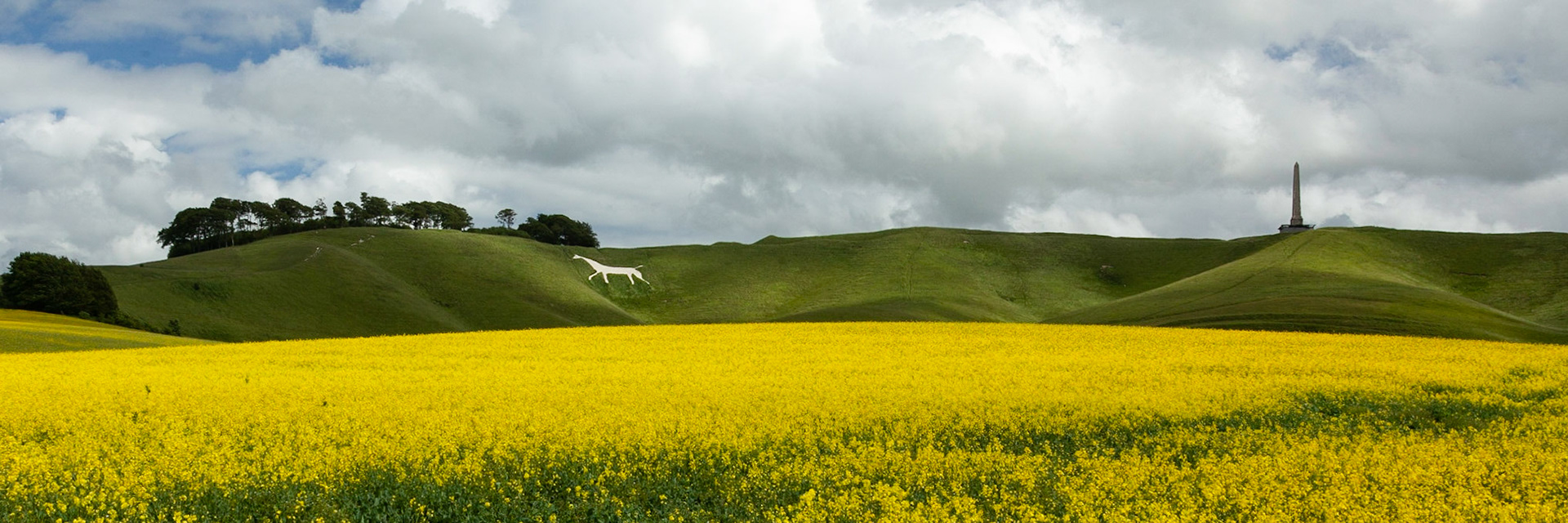 Cherhill White Horse, Wiltshire