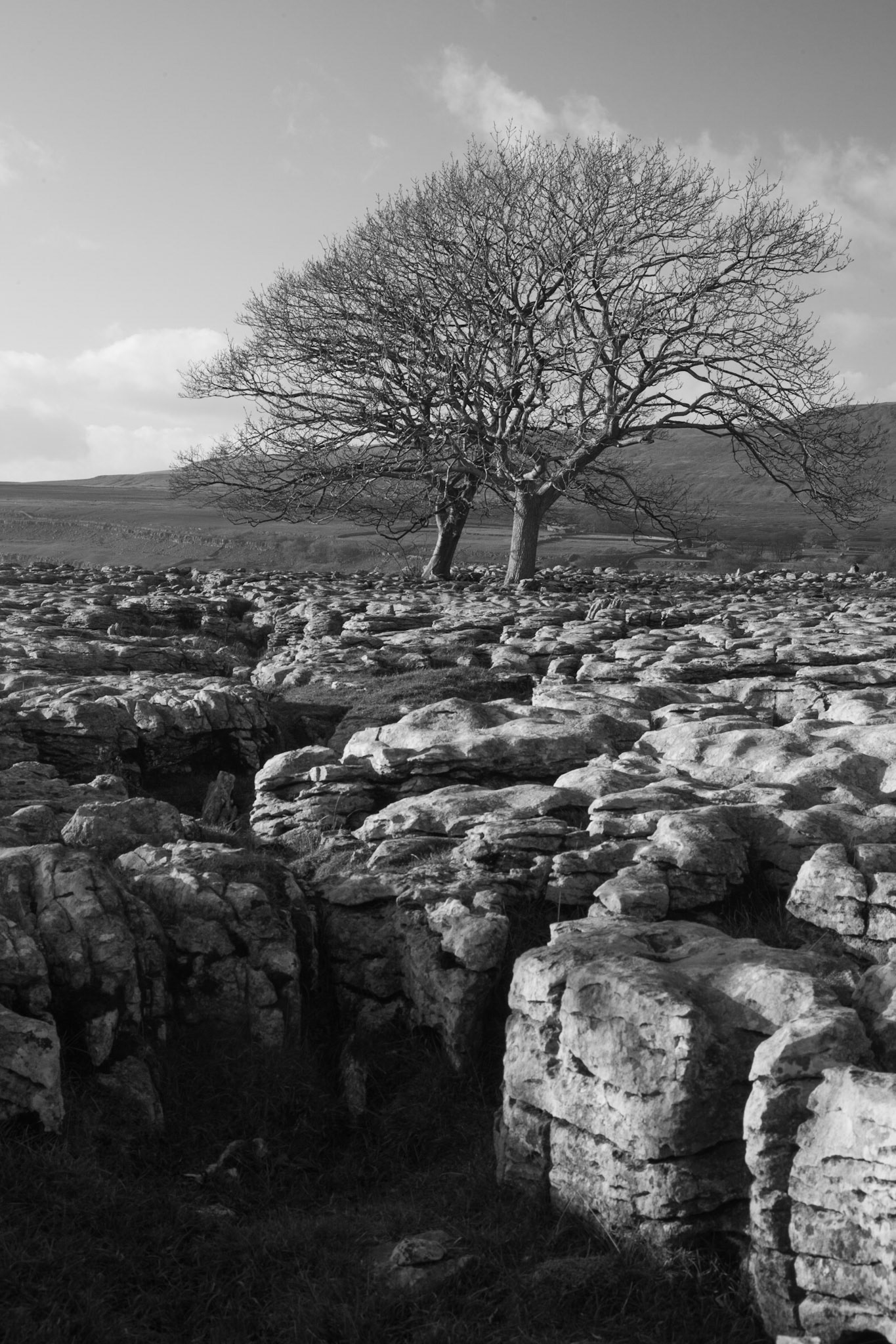 White Scar pavement, Yorkshire