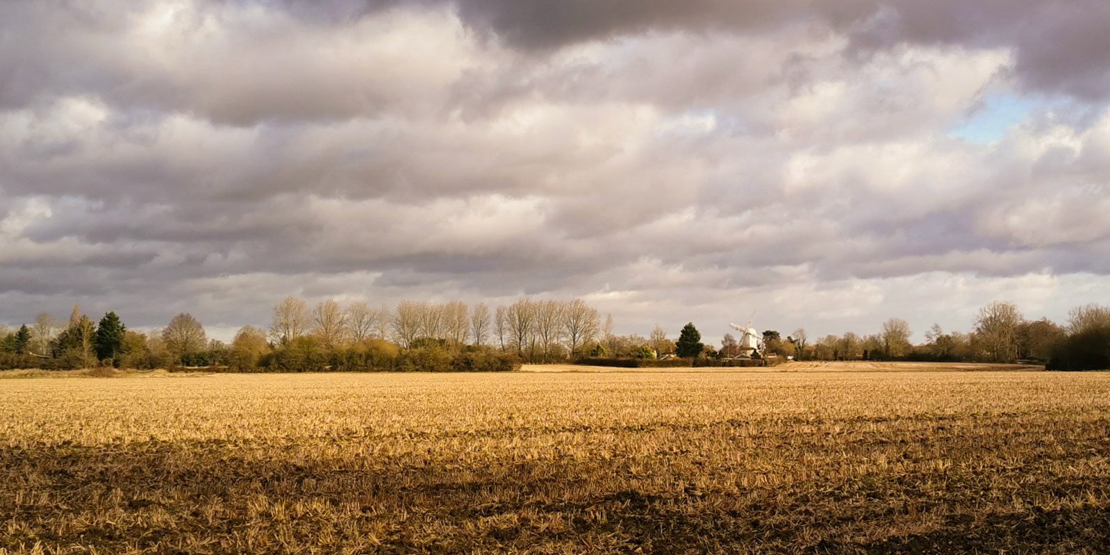 35. Autumn at Saxtead Mill