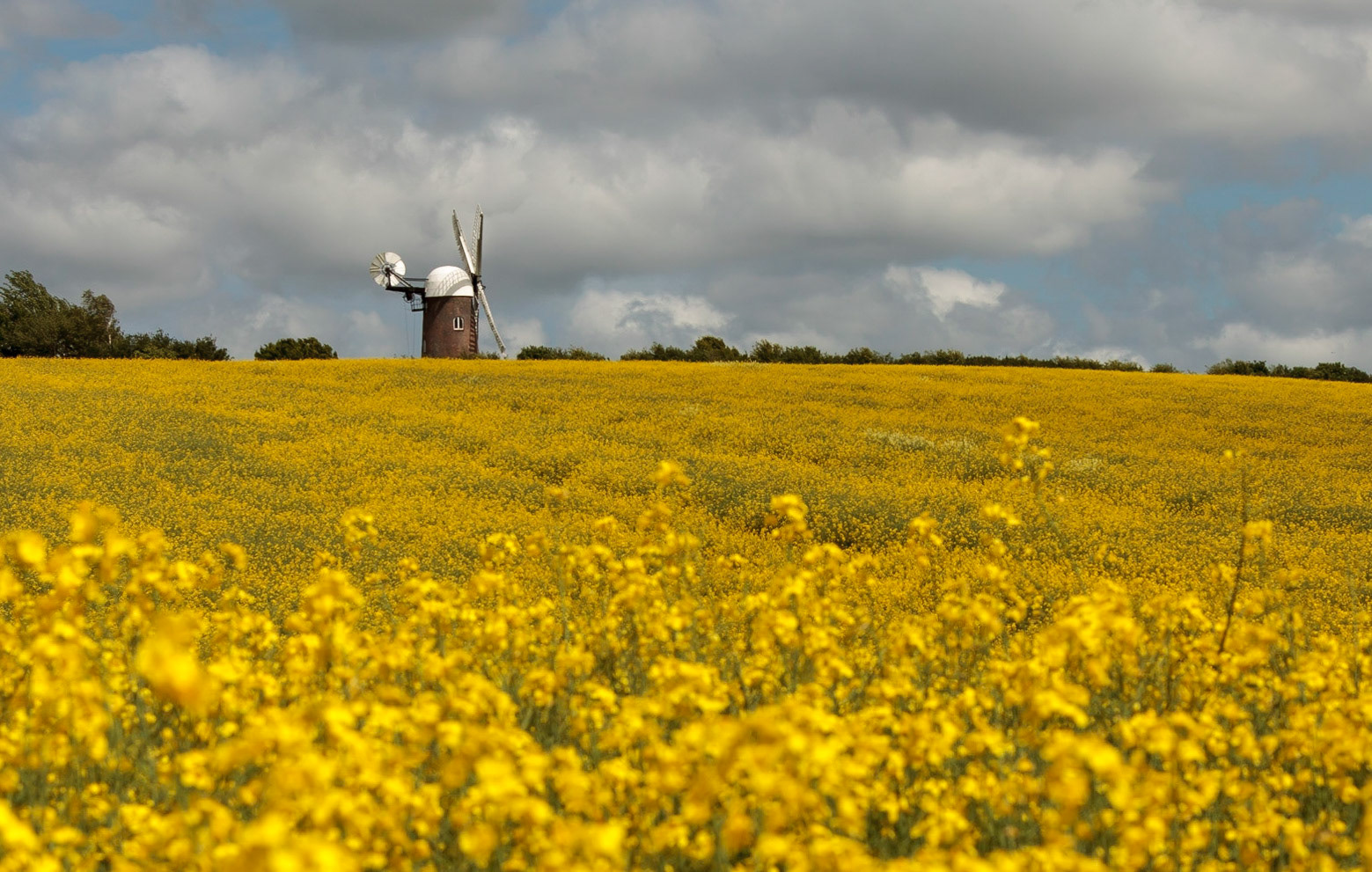 Wilton Mill, Wiltshire