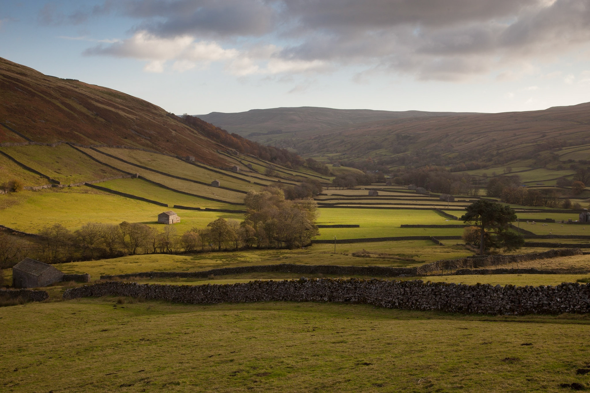 Yorkshire Dales