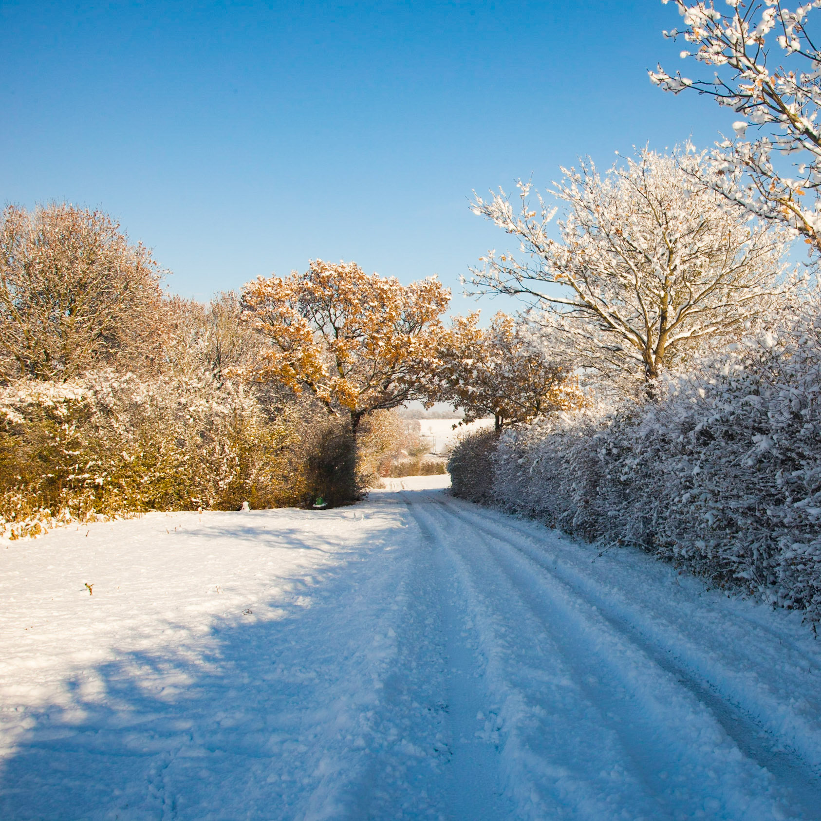 Snowy track to Cookley
