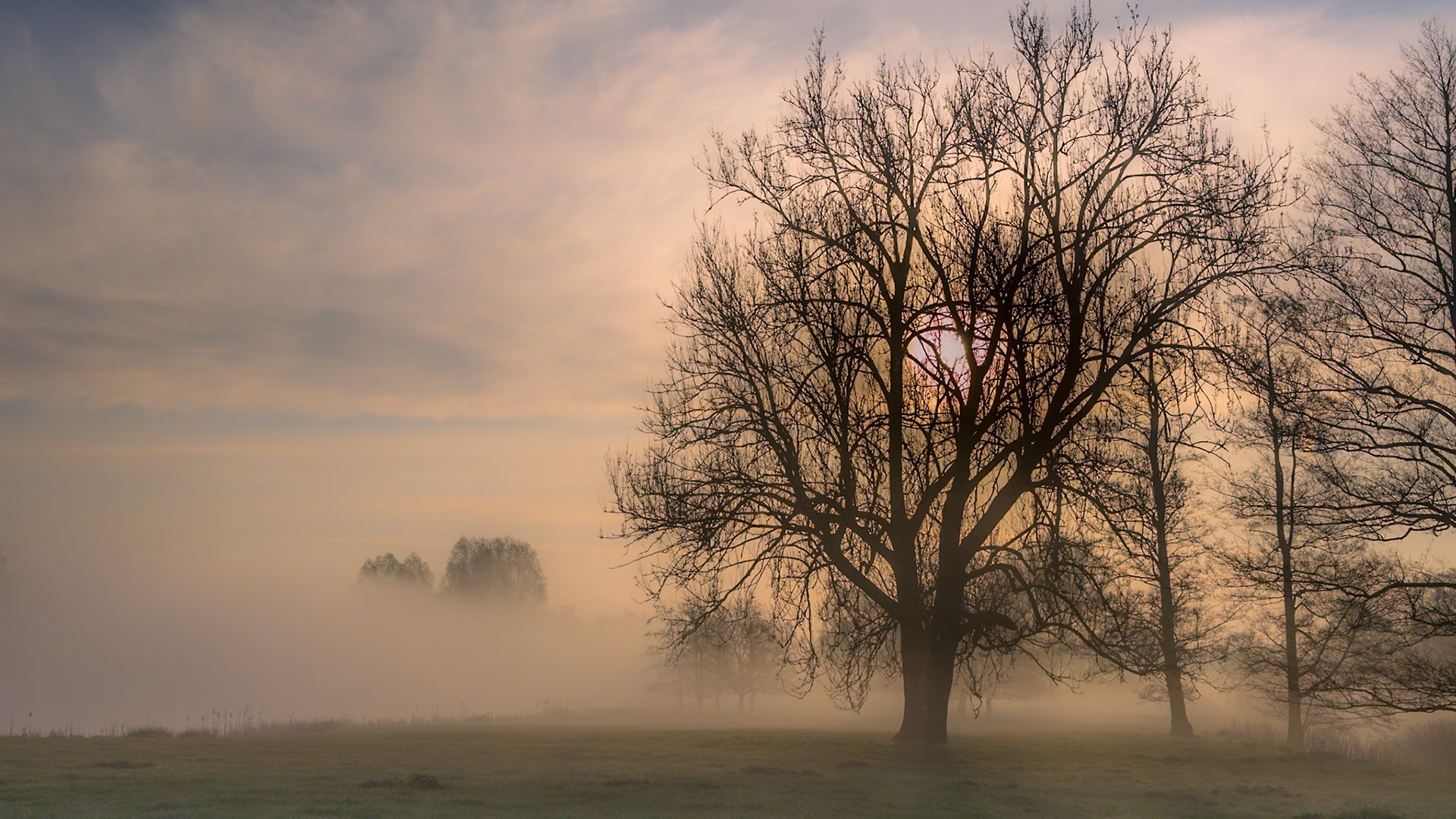 28. Misty morning, Heveningham