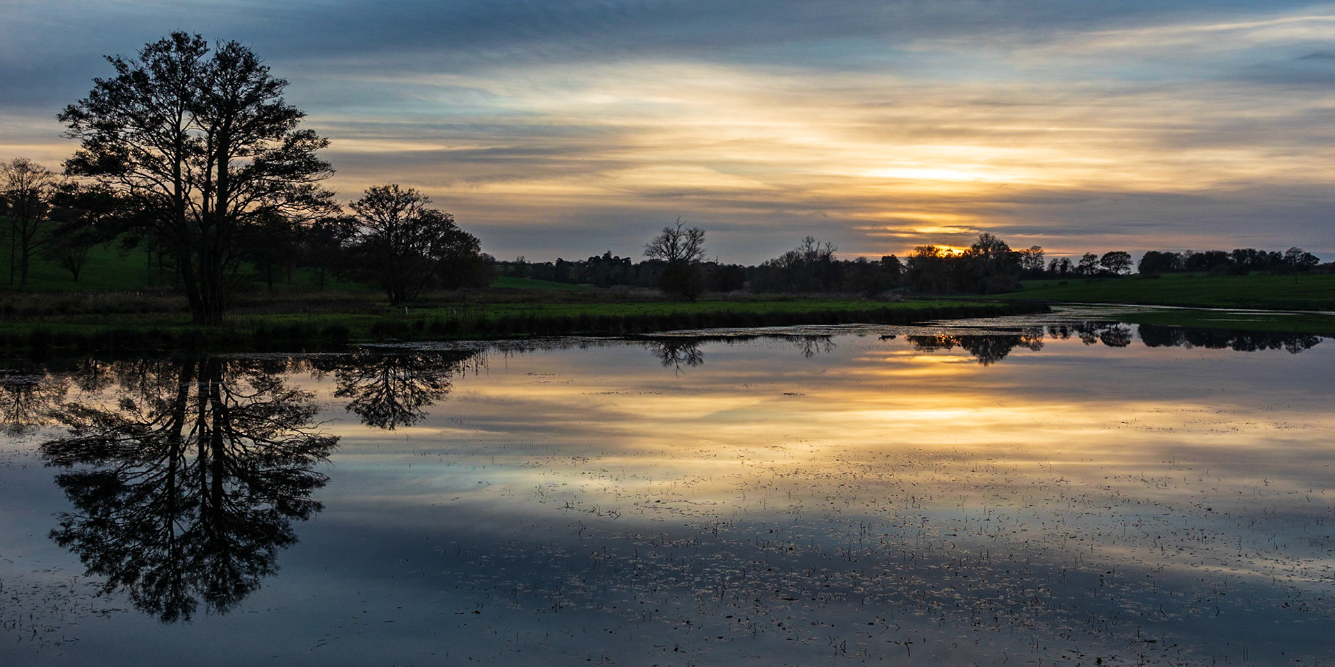 15. Late evening at Heveningham