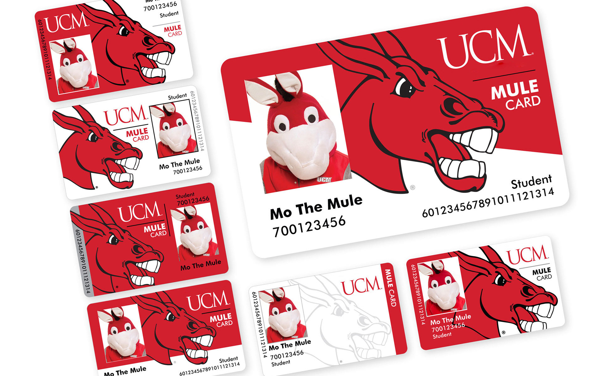 UCM |  ID/MULE cards