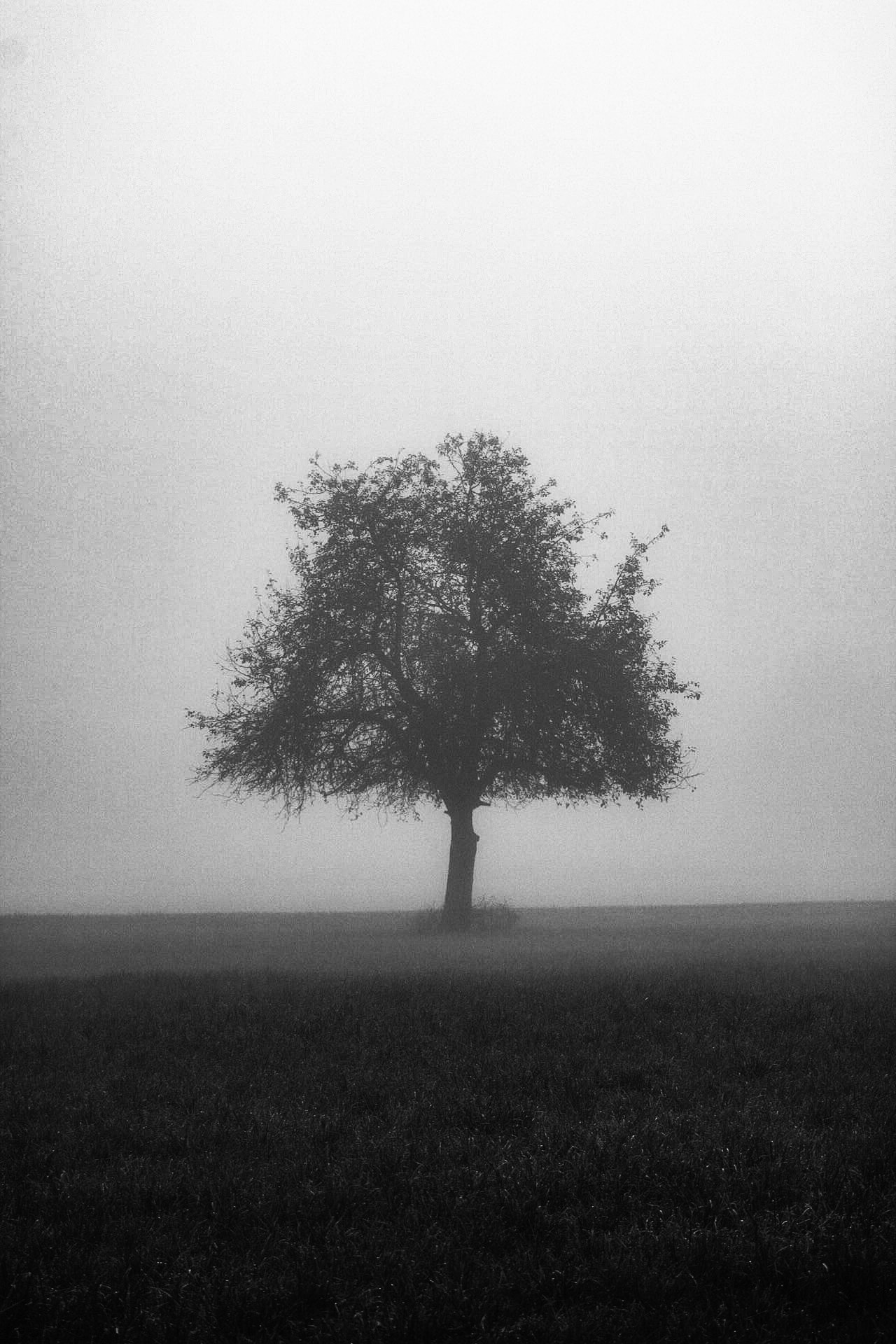 Lonely