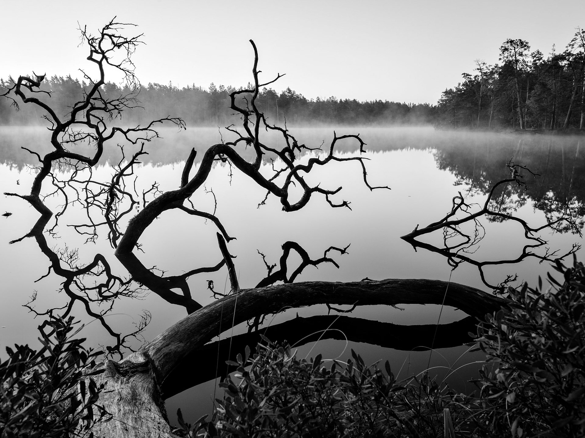 Årsjön, Stockholm Sweden