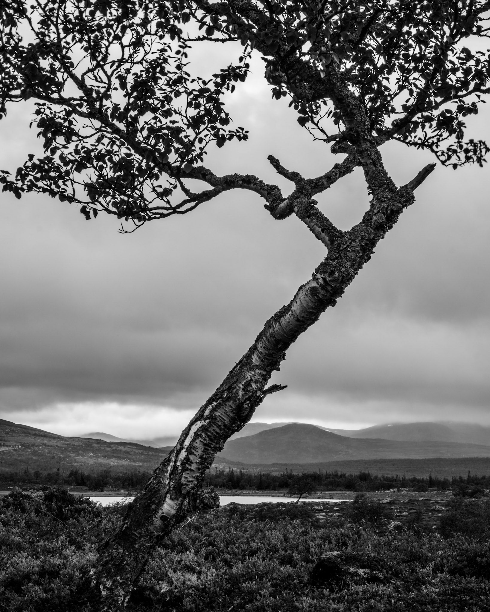 Hike in Jämtland Sweden, 10-19/8 -2016