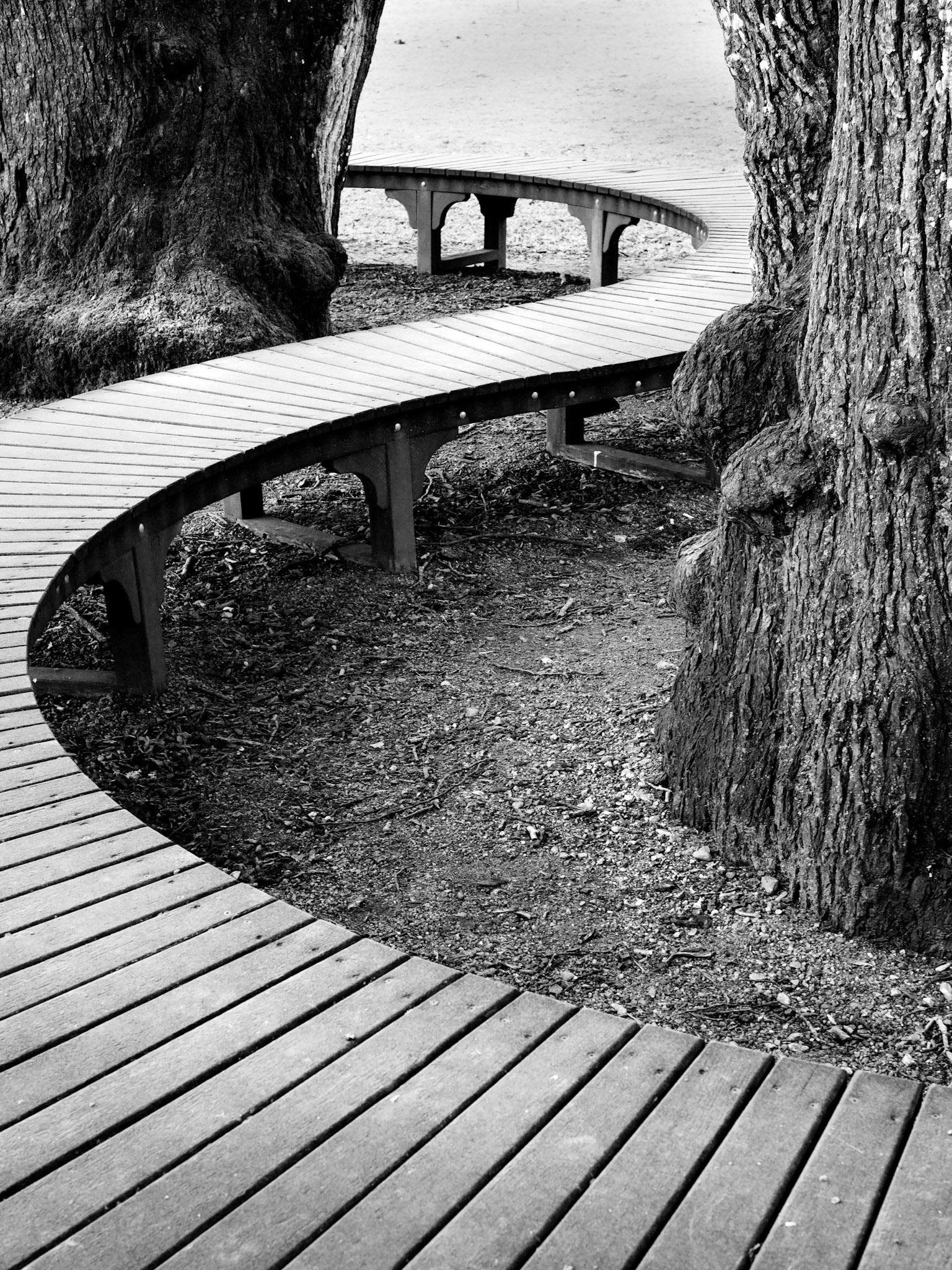 from a park in central Uppsala, Sweden