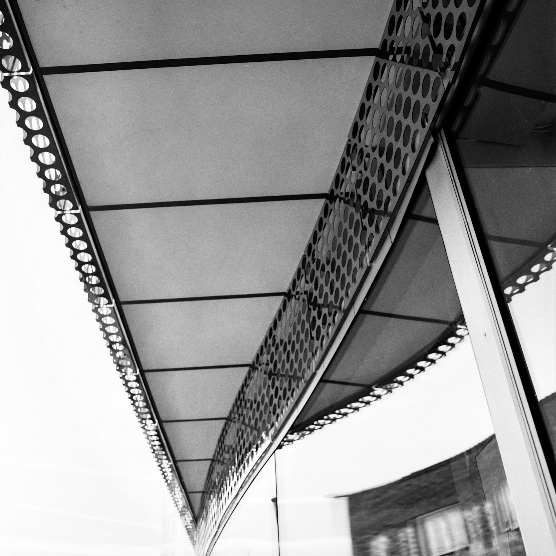 Hasselblad 500cm, Distagon CF 60/3.5, Ilford hp5+, d76 1-1