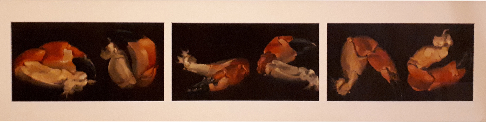 Hastings Crab triptych - oil on board SOLD