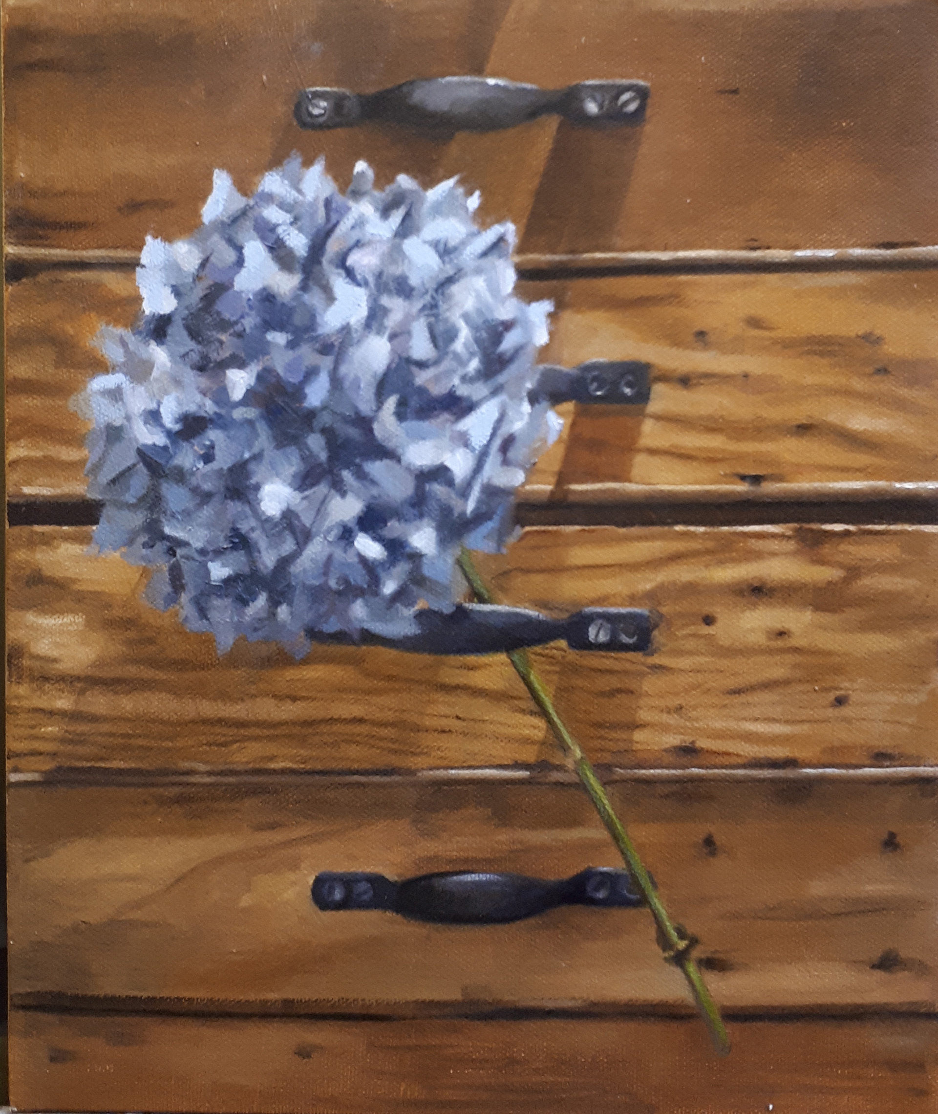 Hydrangea with Drawers - oil on canvas - 35cm x 30cm