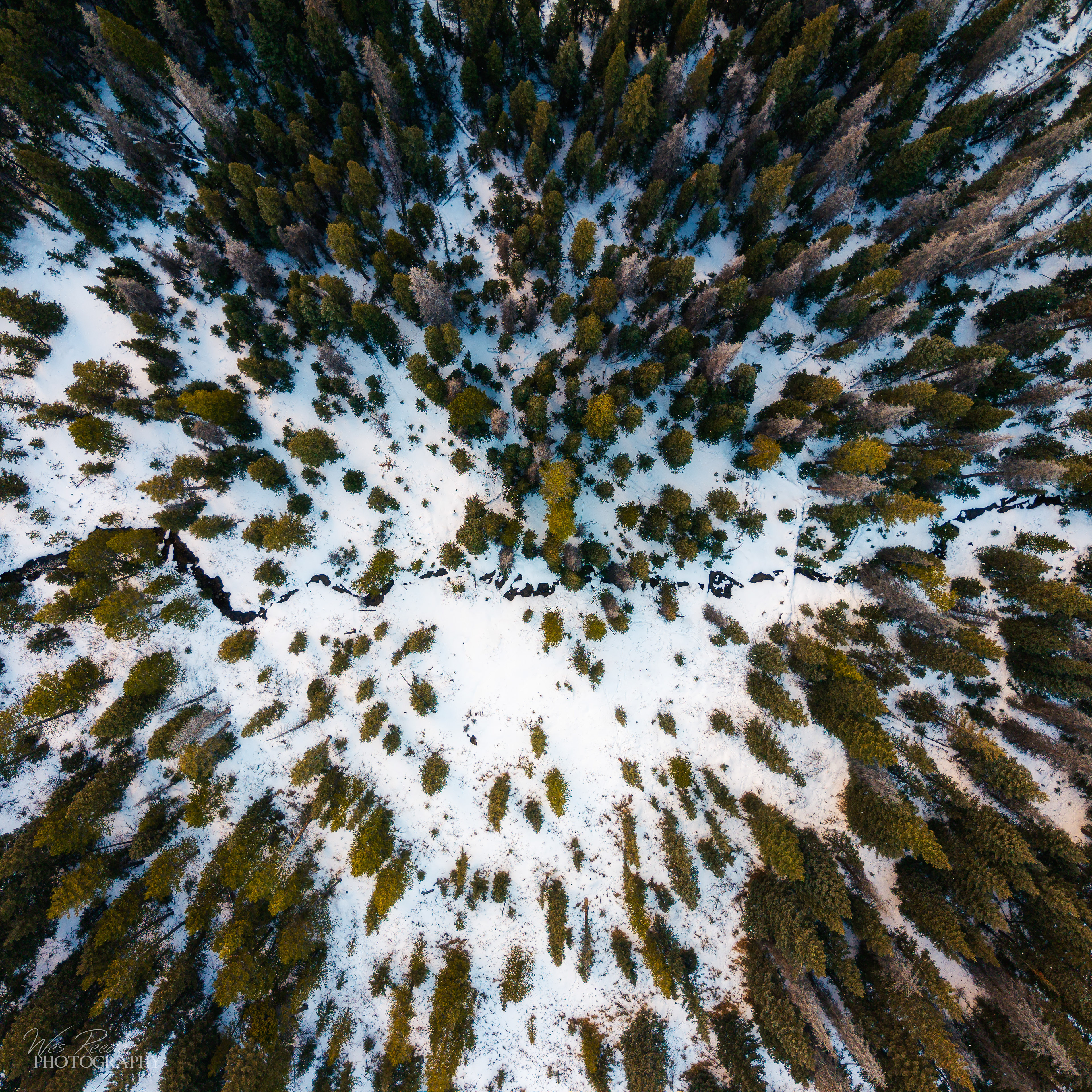 From Above