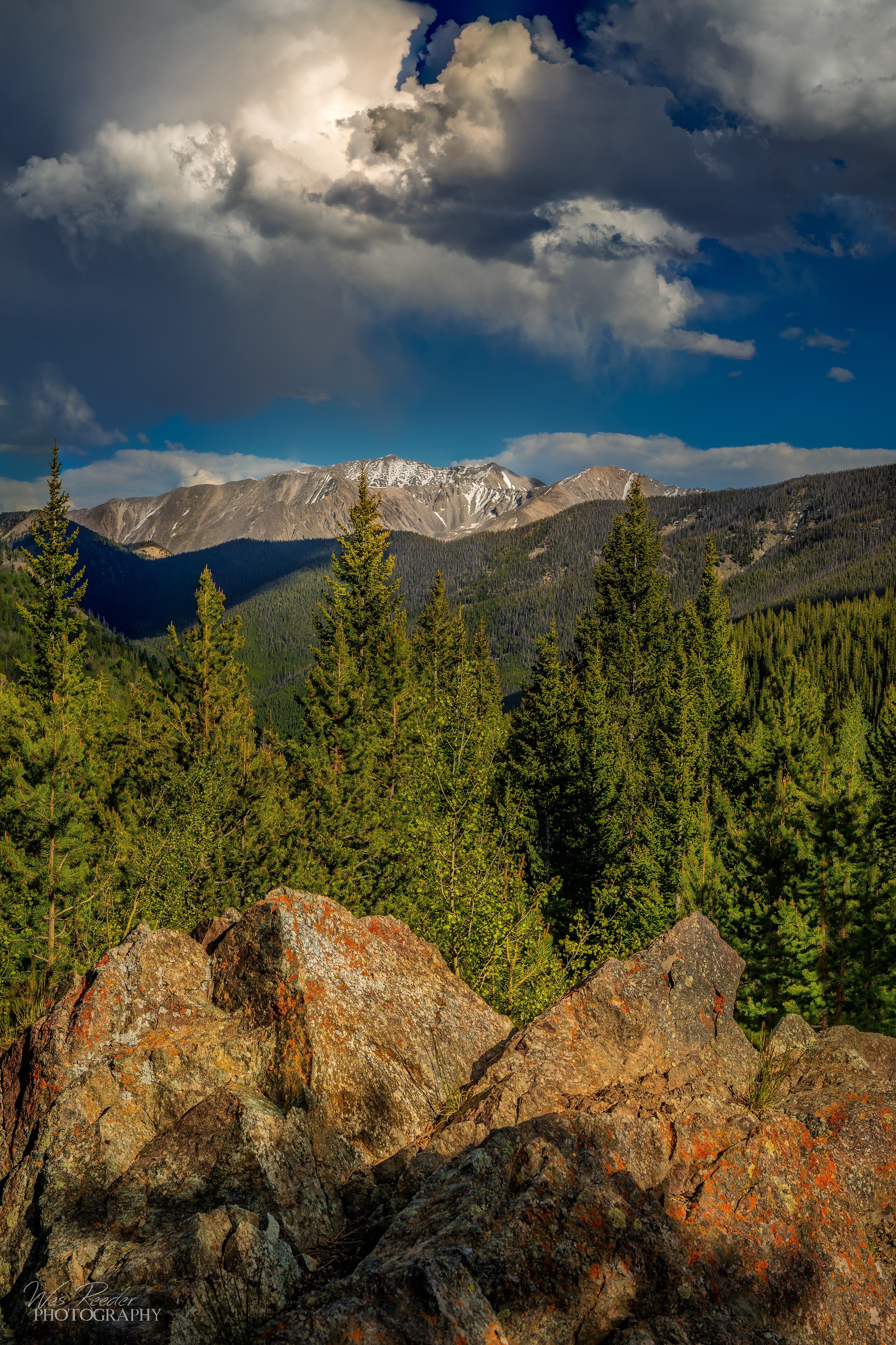 Rocky Views